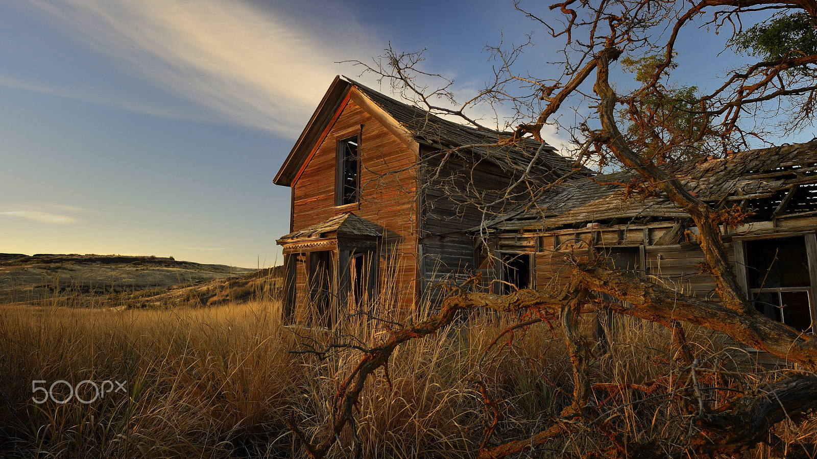 Nikon D800 + Nikon AF Nikkor 24mm F2.8D sample photo. Whispers photography