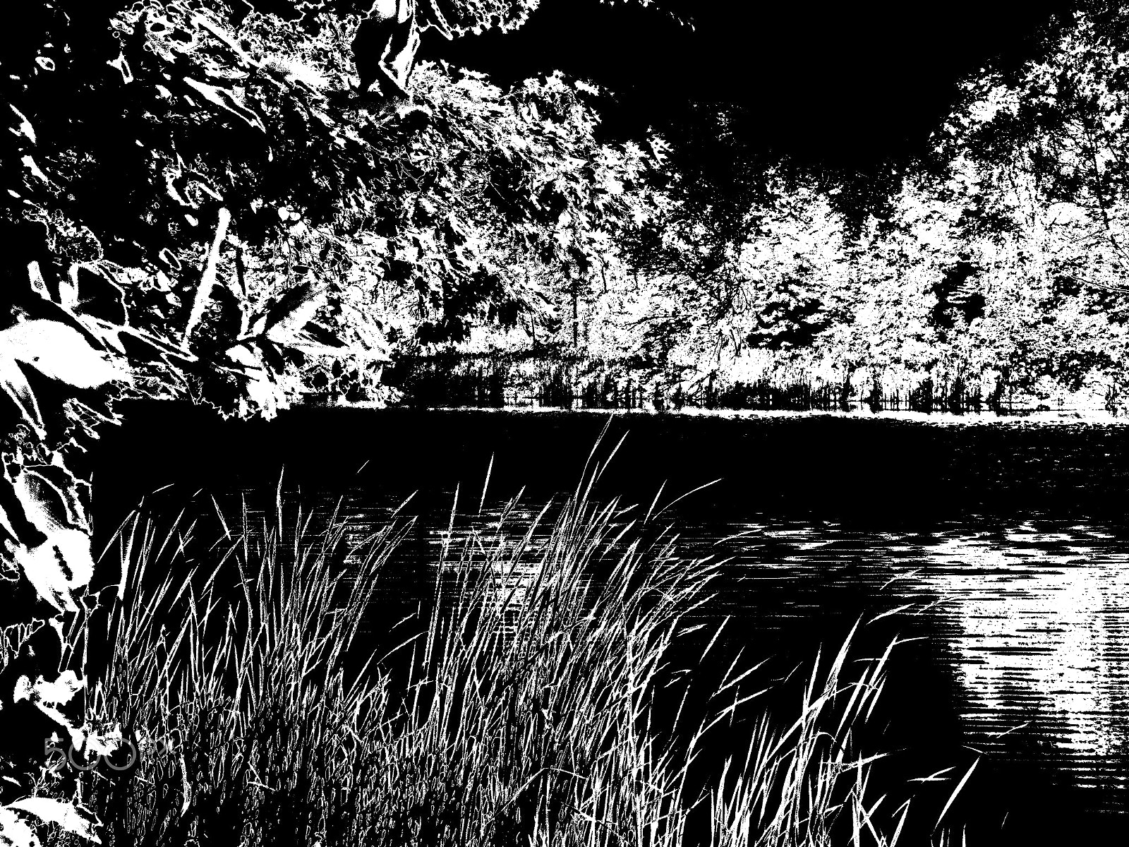 Samsung WB110/  WB111 sample photo. Blackcreekbw photography