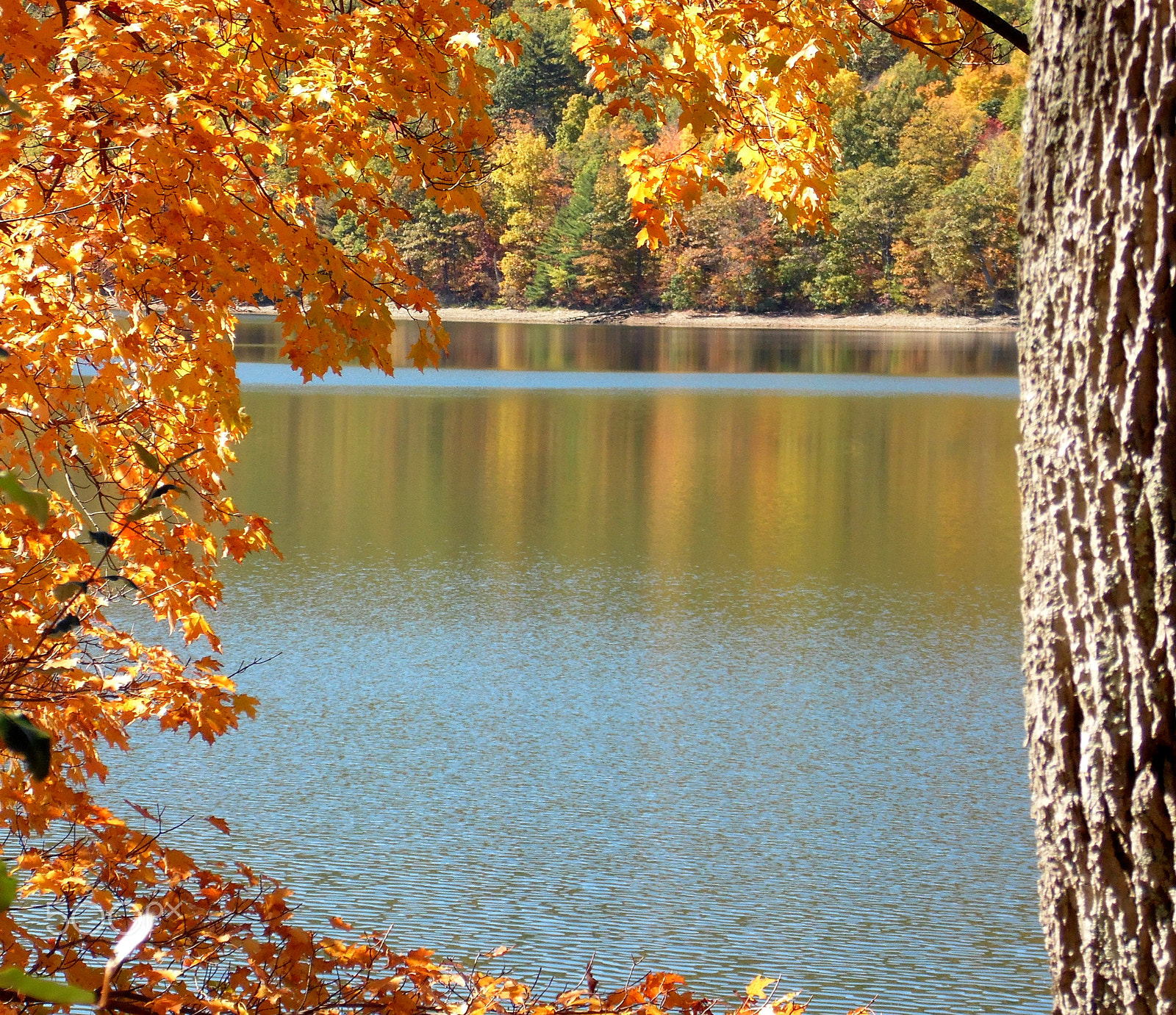 Samsung WB110/  WB111 sample photo. Canadicelake photography