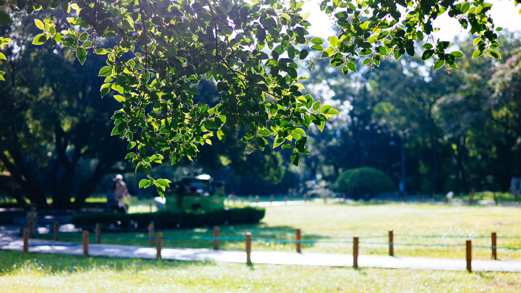 Leica Summarit-M 50mm F2.5 sample photo. A sunny morning,on the way to work photography