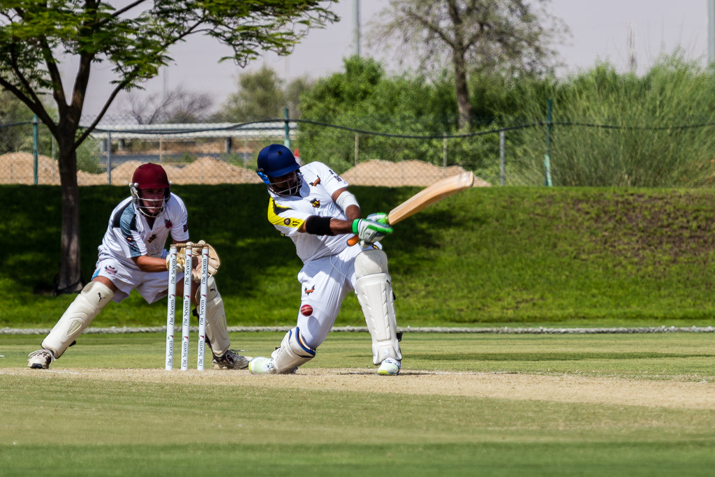 Canon EF 100-400mm F4.5-5.6L IS USM sample photo. Cricket fever photography