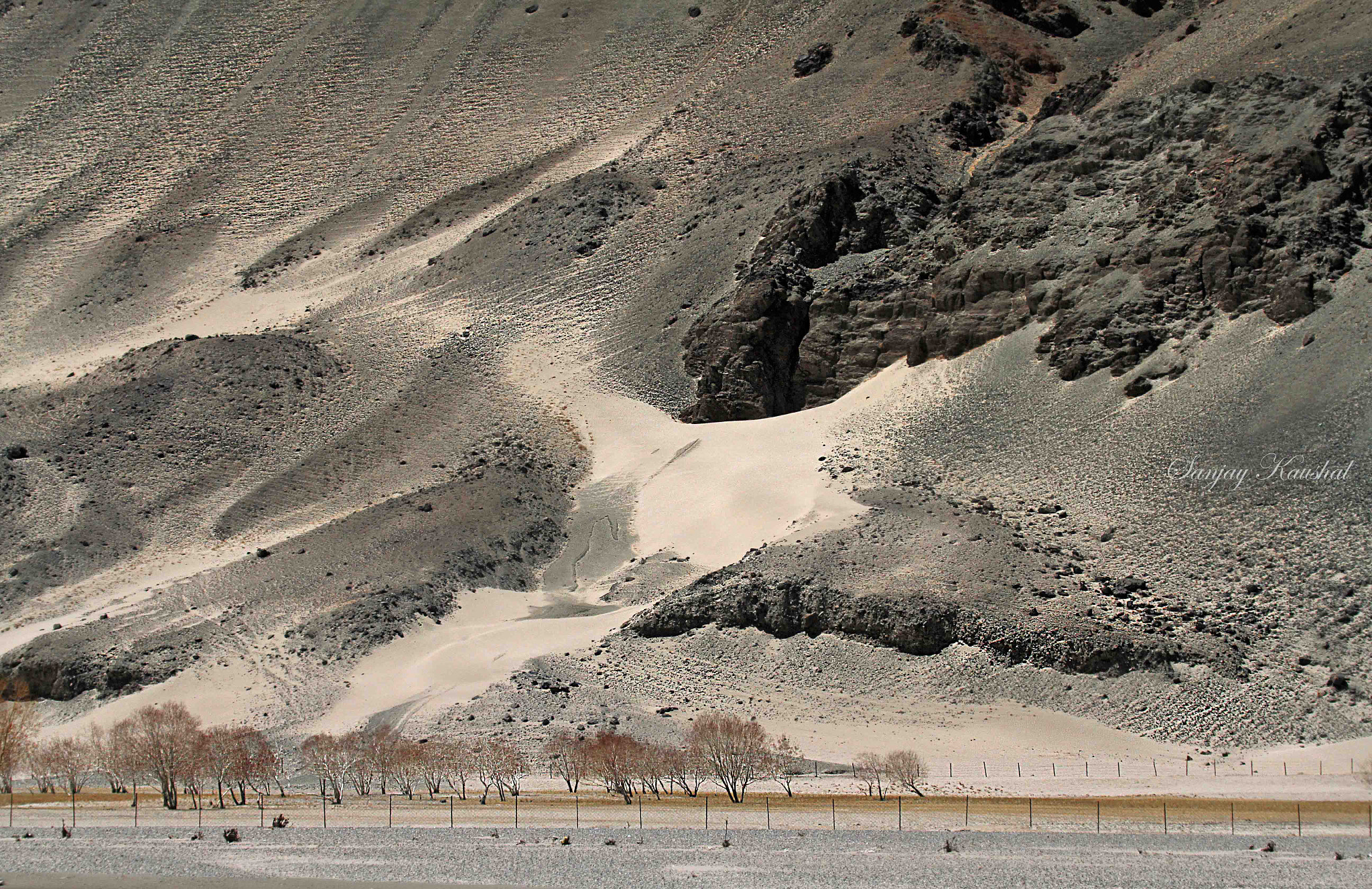 Canon EOS 7D sample photo. Changthang plains( eastern ladakh) in winters photography