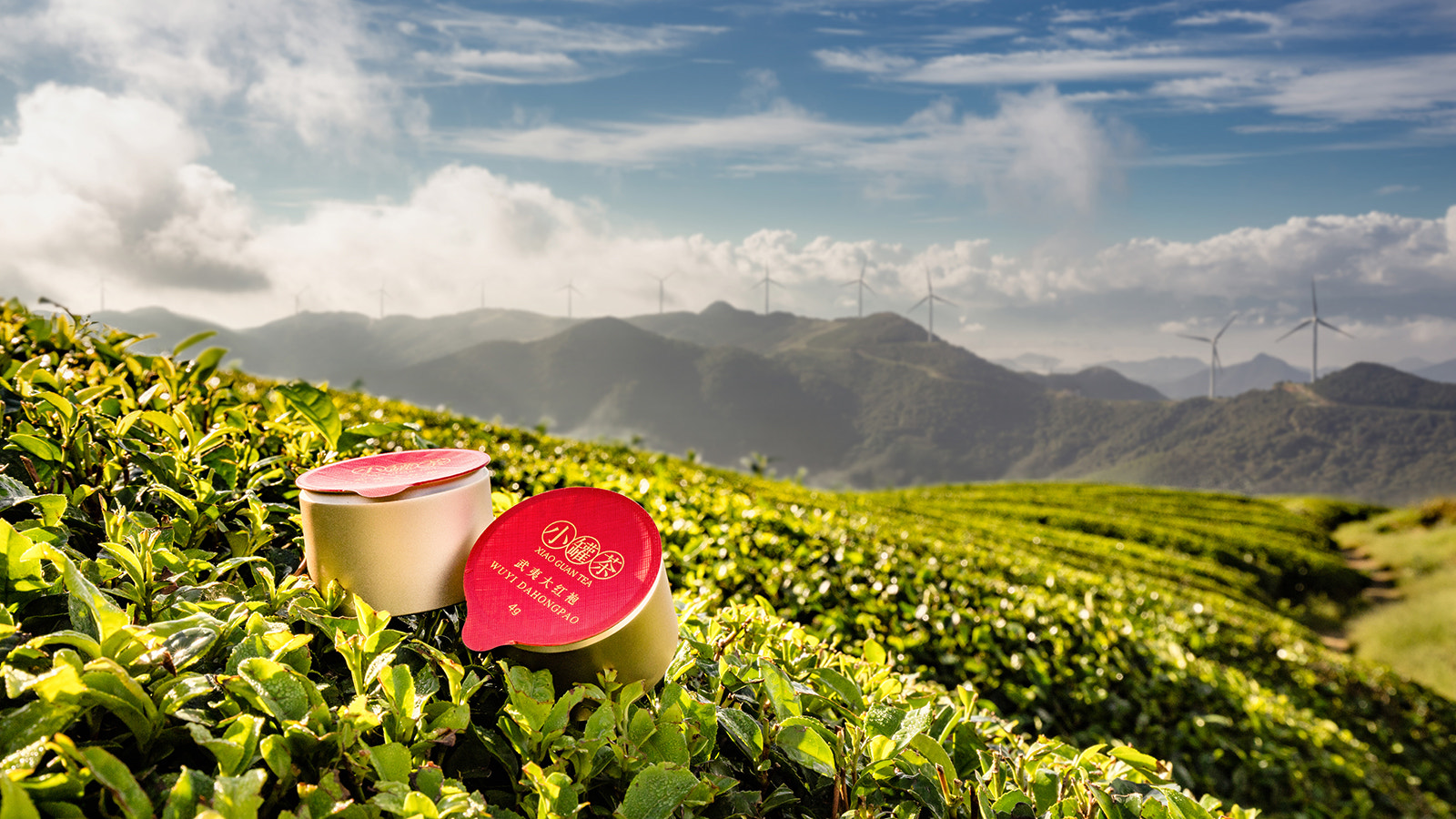 Canon EOS 5DS + Canon EF 16-35mm F4L IS USM sample photo. Tea mountain and wind generators photography