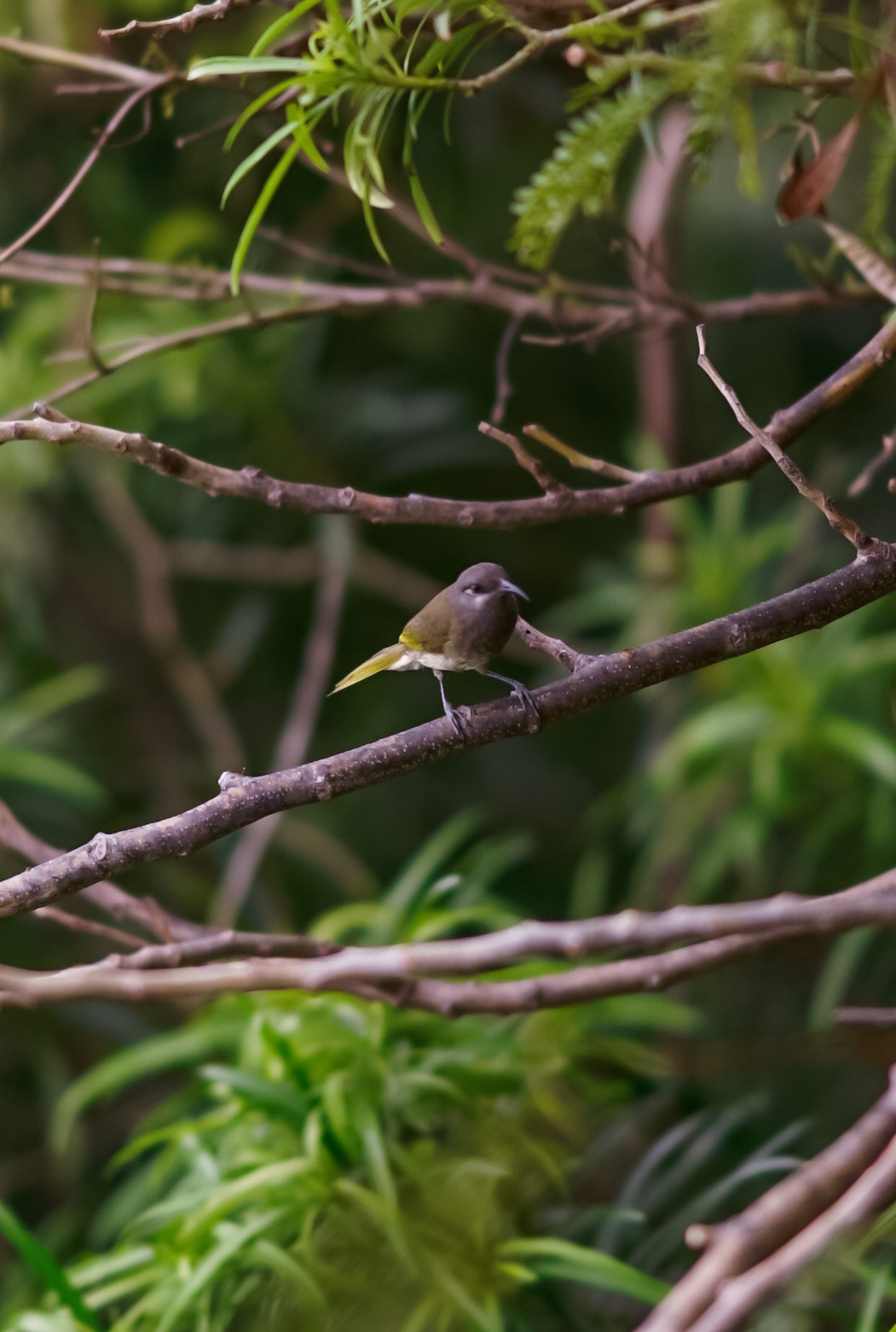 Sony FE 85mm F1.4 GM sample photo
