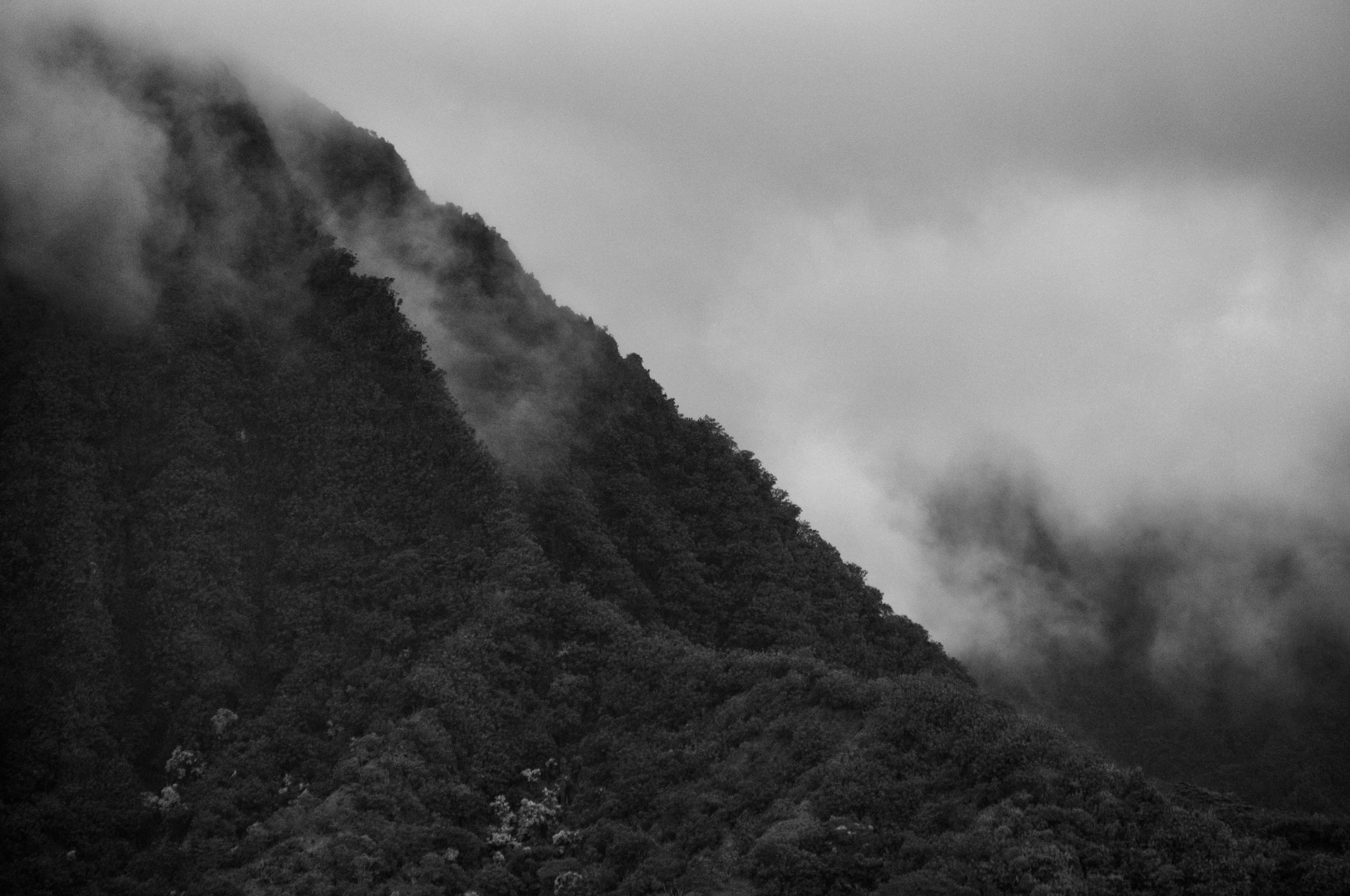 Nikon D5000 sample photo. Windward ridge photography