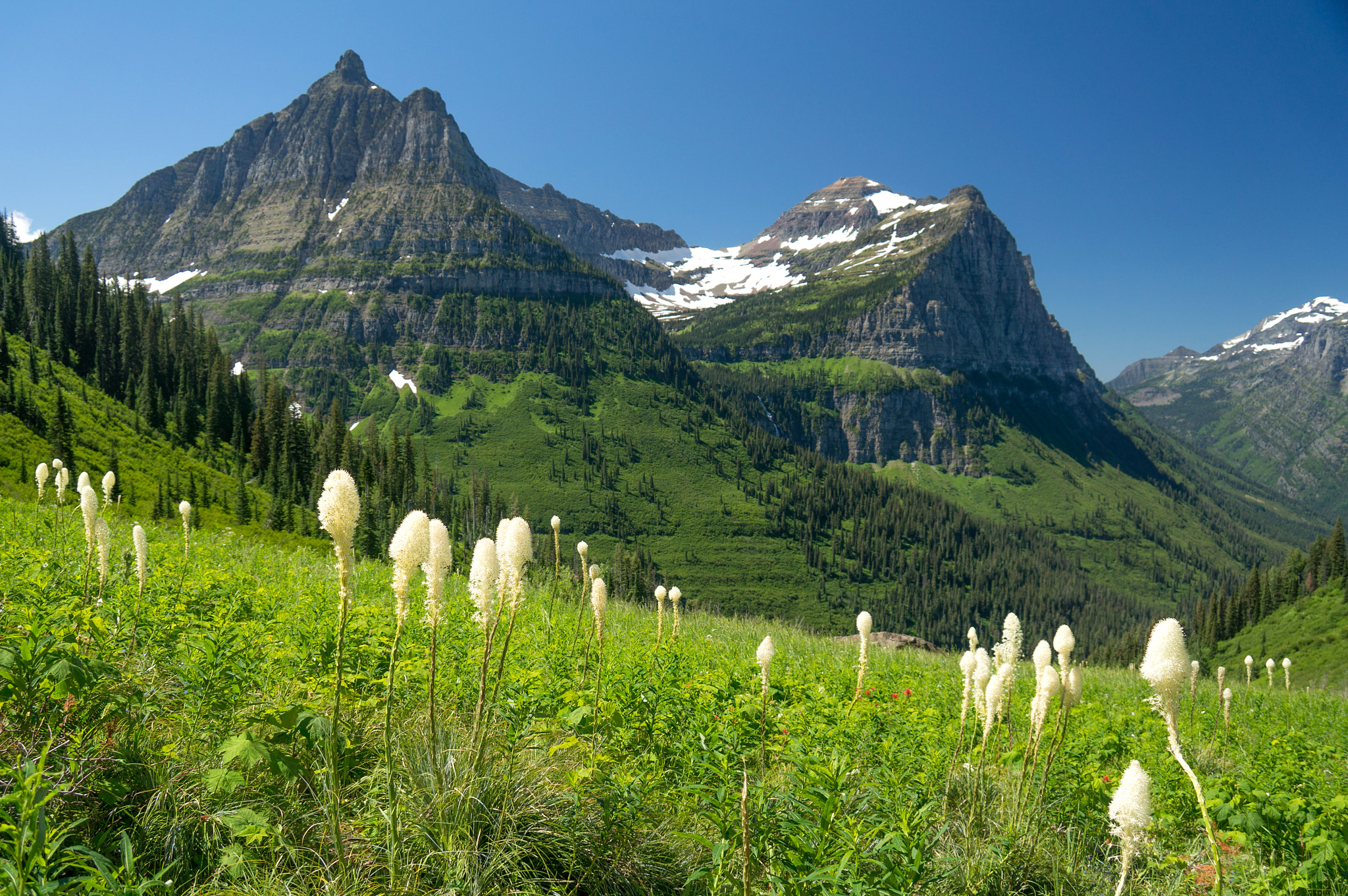 Sony Alpha NEX-6 sample photo. Below logan pass on going-to-the-sun road photography