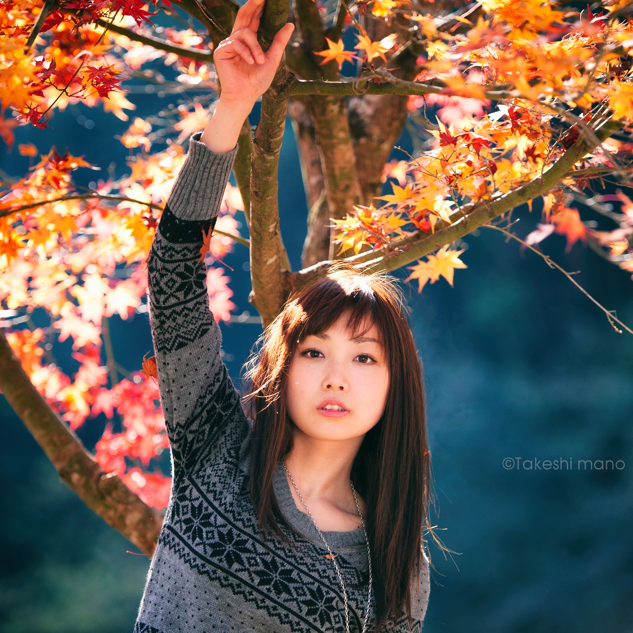 Nikon D3 sample photo. Autumn colors photography