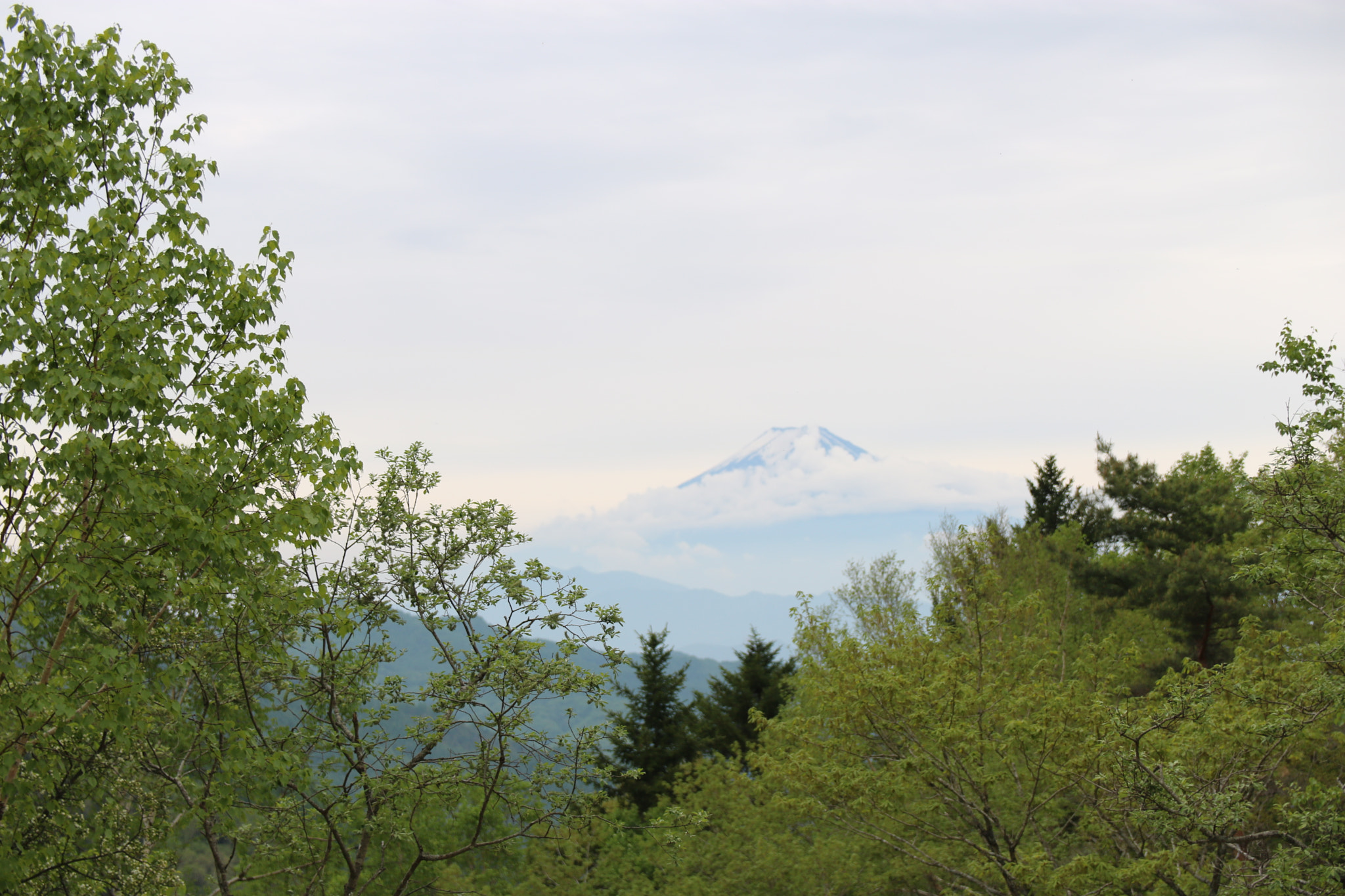 Canon EOS 760D (EOS Rebel T6s / EOS 8000D) sample photo. Img photography