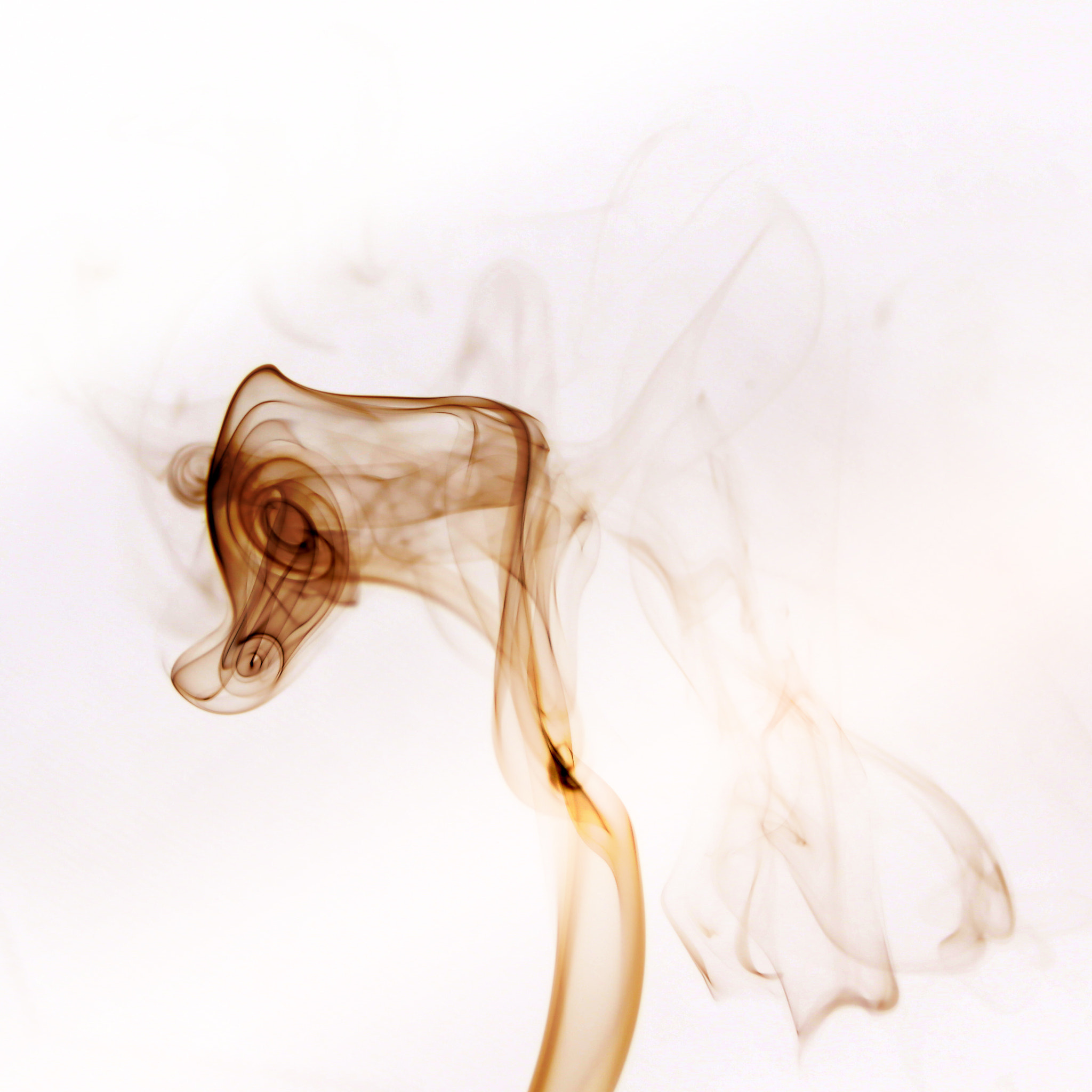 Canon EF 28-80mm f/3.5-5.6 sample photo. Horse smoke photography
