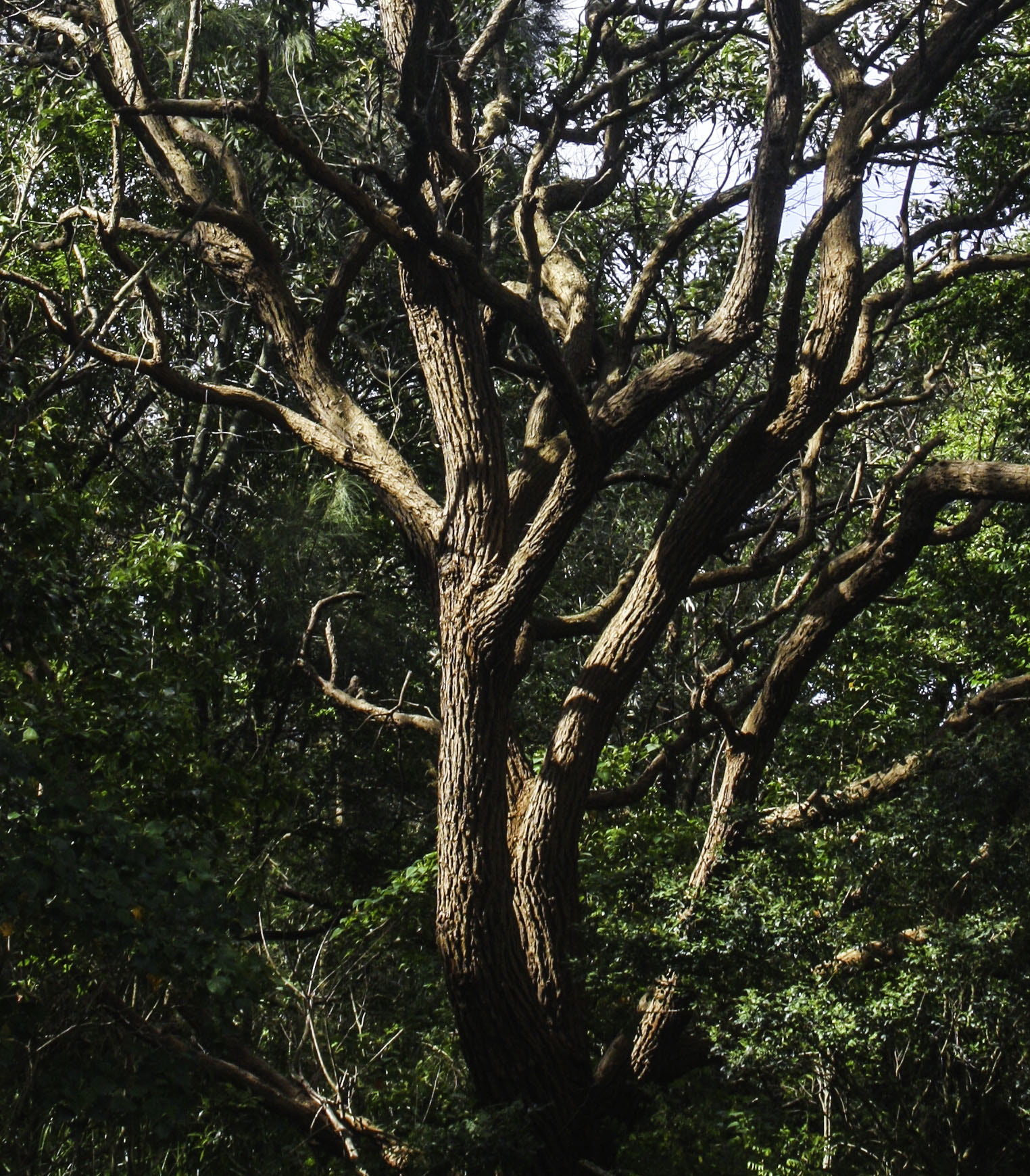 Canon EF 35-105mm f/3.5-4.5 sample photo. Edit photography