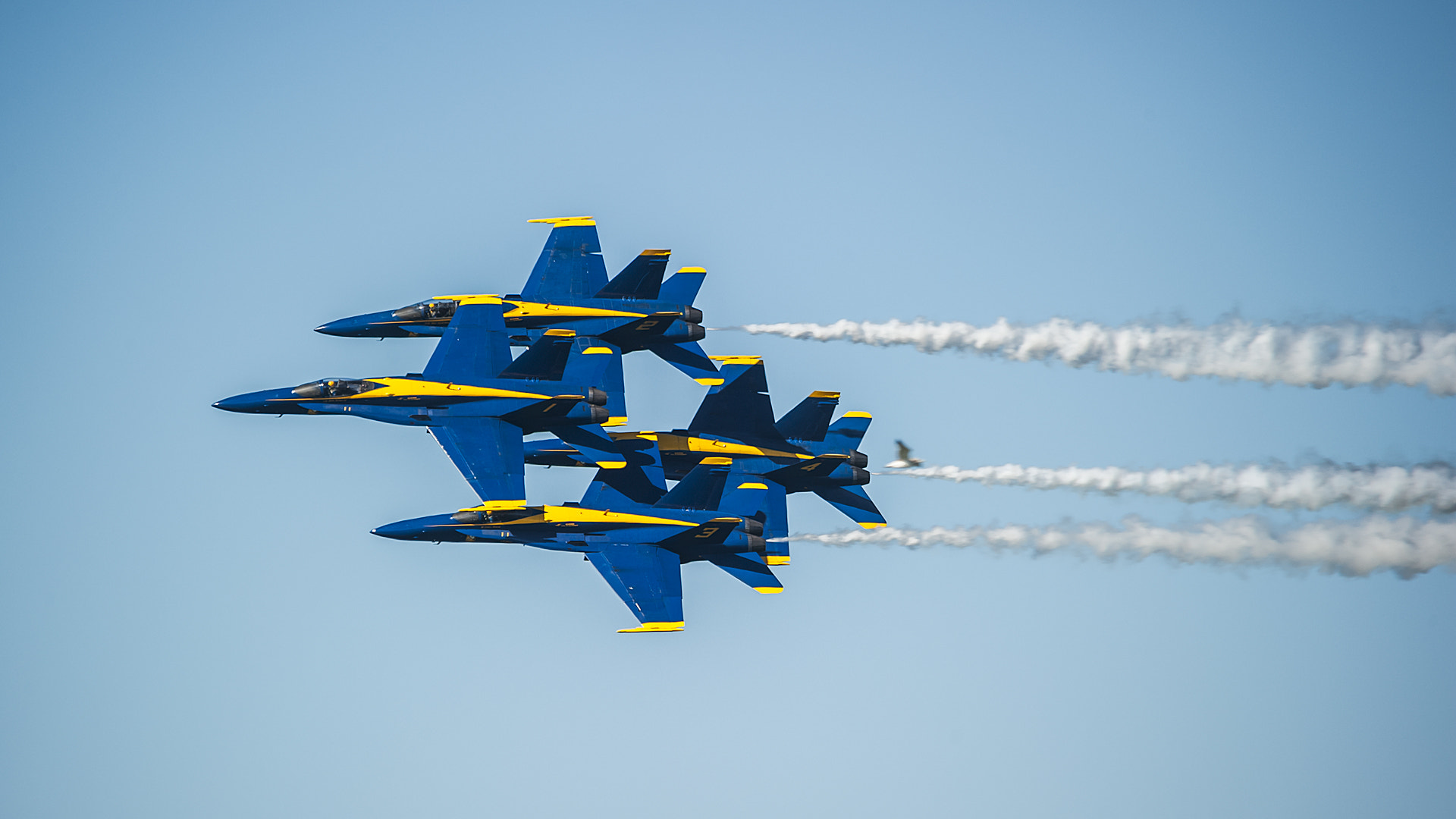 Sigma 150-500mm F5-6.3 DG OS HSM sample photo. Blue angels photography