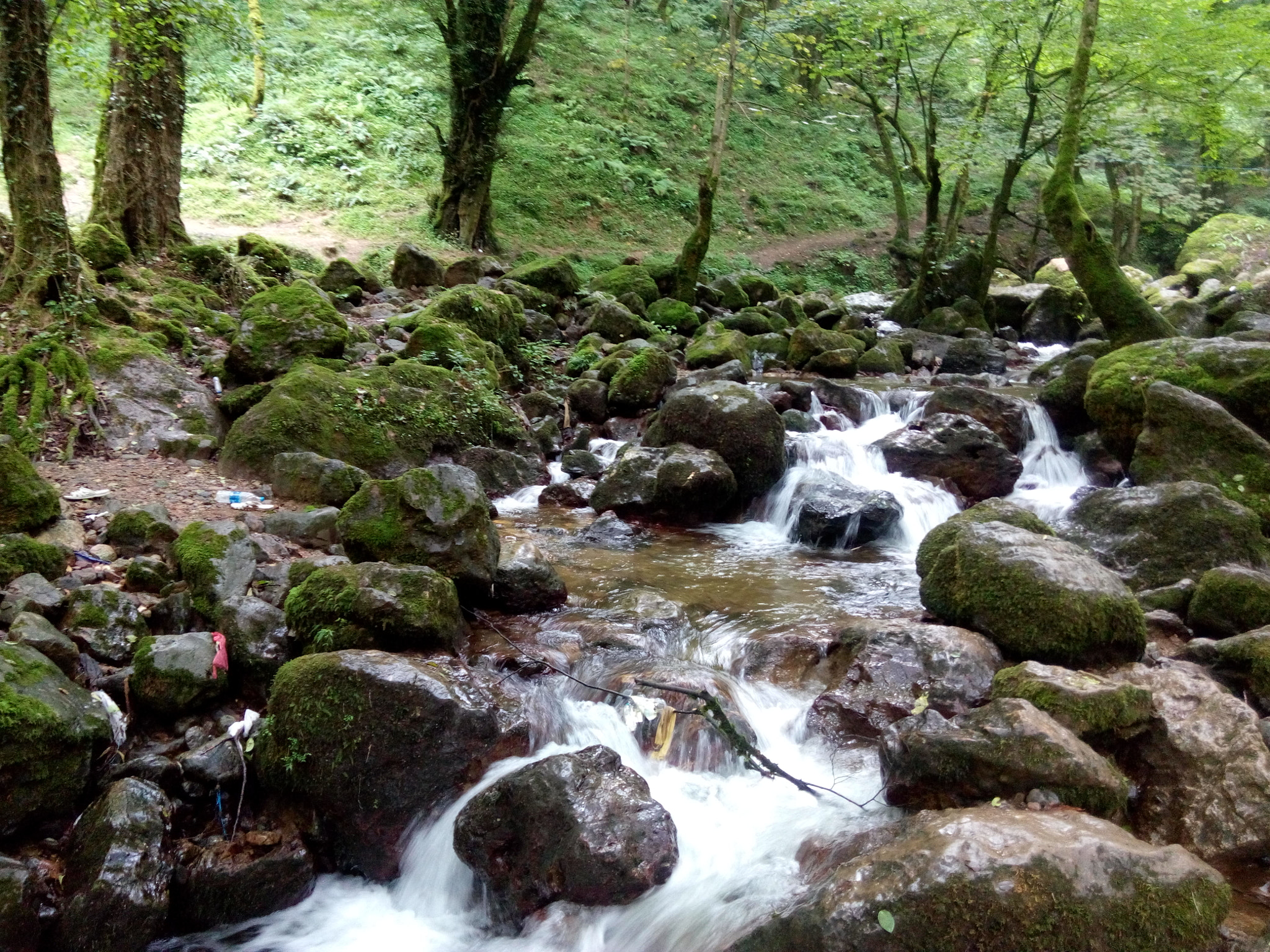 HTC DESIRE 816G DUAL SIM sample photo
