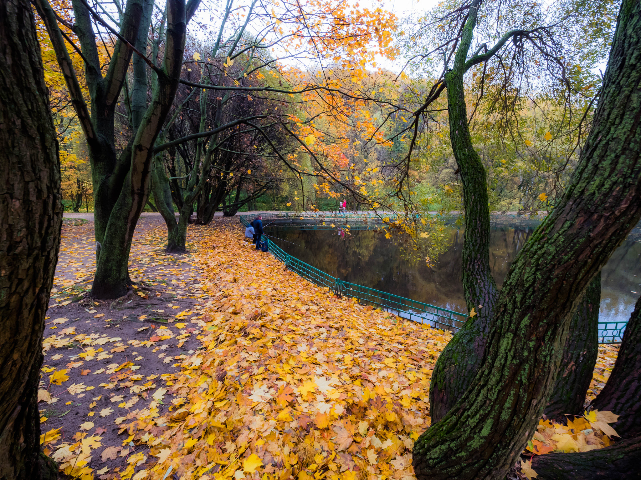 Panasonic Lumix DMC-GH4 + Olympus M.Zuiko Digital ED 7-14mm F2.8 PRO sample photo. Pond into kolomenskoe park photography