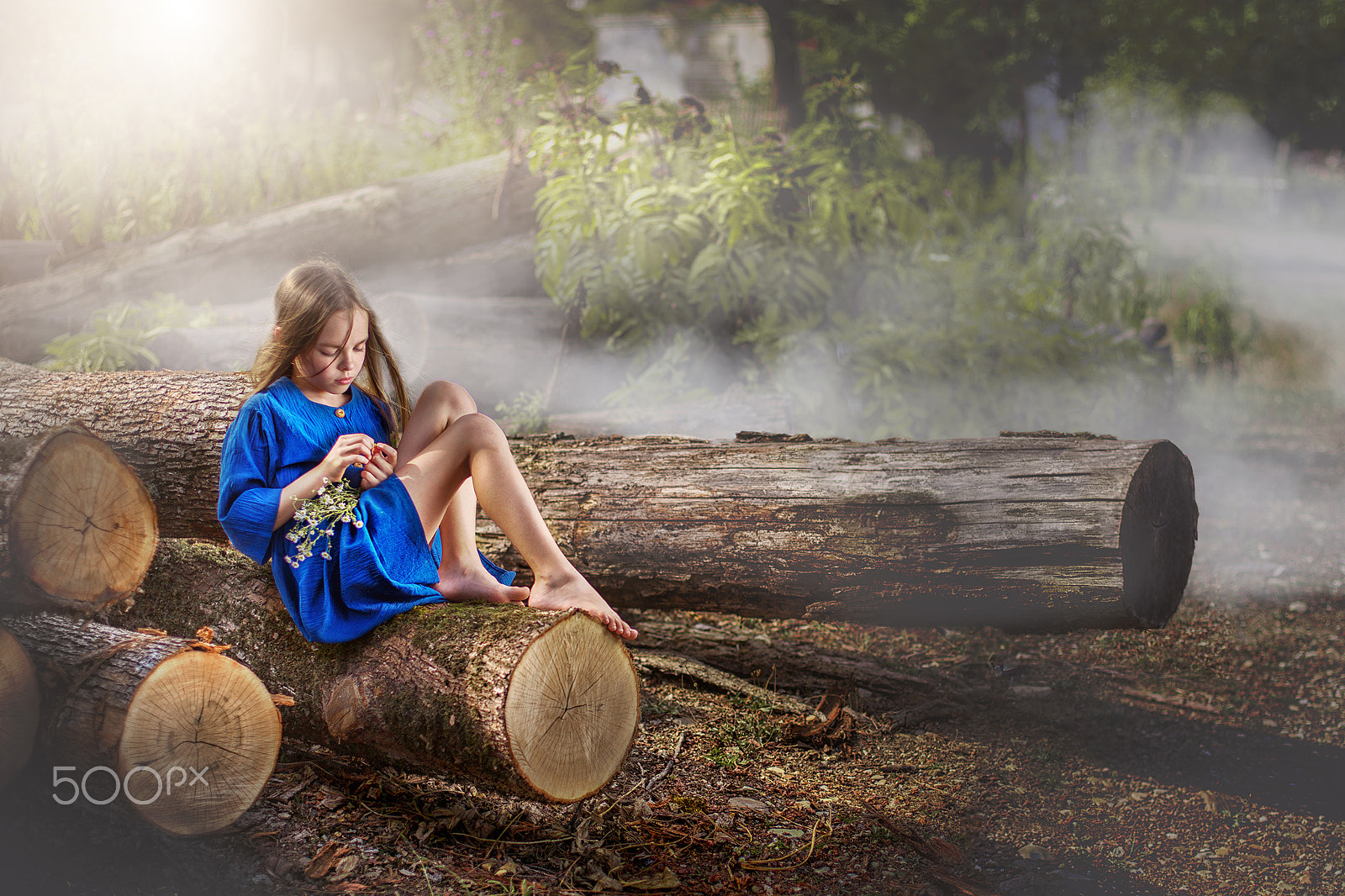 Canon EOS-1D Mark IV sample photo. Girl on the logs photography