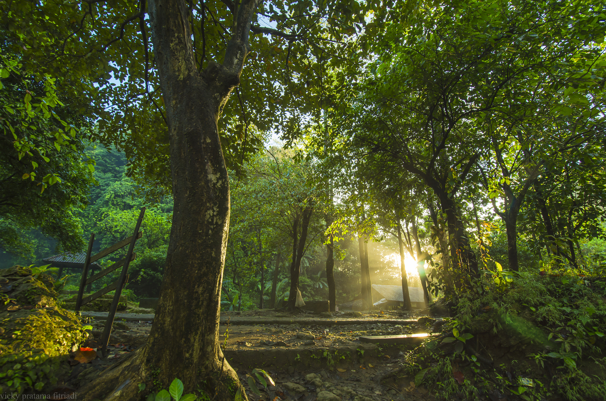 Samyang 14mm F2.8 ED AS IF UMC sample photo. Mysticaly morn photography