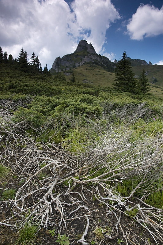 16.00 - 85.00 mm f/3.5 - 5.6 sample photo. In the ciucaş mountains photography