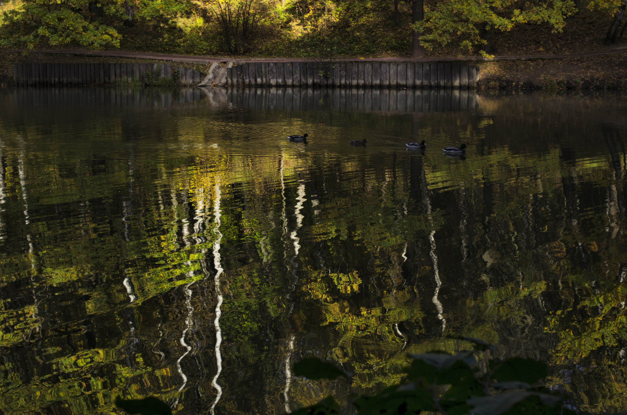 Pentax smc DA 40mm F2.8 Limited sample photo. Morning in the park, moscow photography