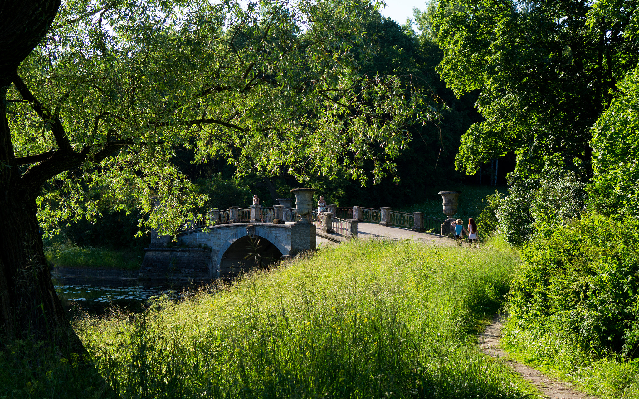Sony E 35mm F1.8 OSS sample photo. Pavlovsk. photography