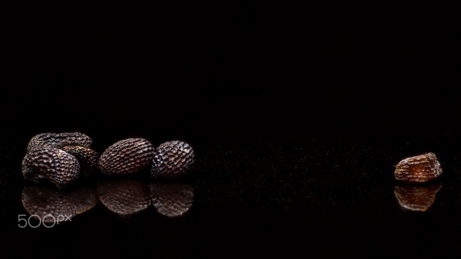 Panasonic Lumix DMC-GH3 sample photo. Variations photography