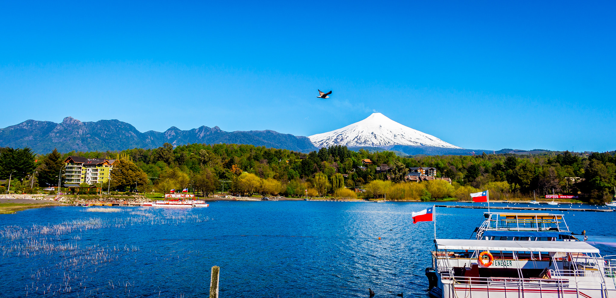 Canon EOS 650D (EOS Rebel T4i / EOS Kiss X6i) sample photo. Postal pucon photography