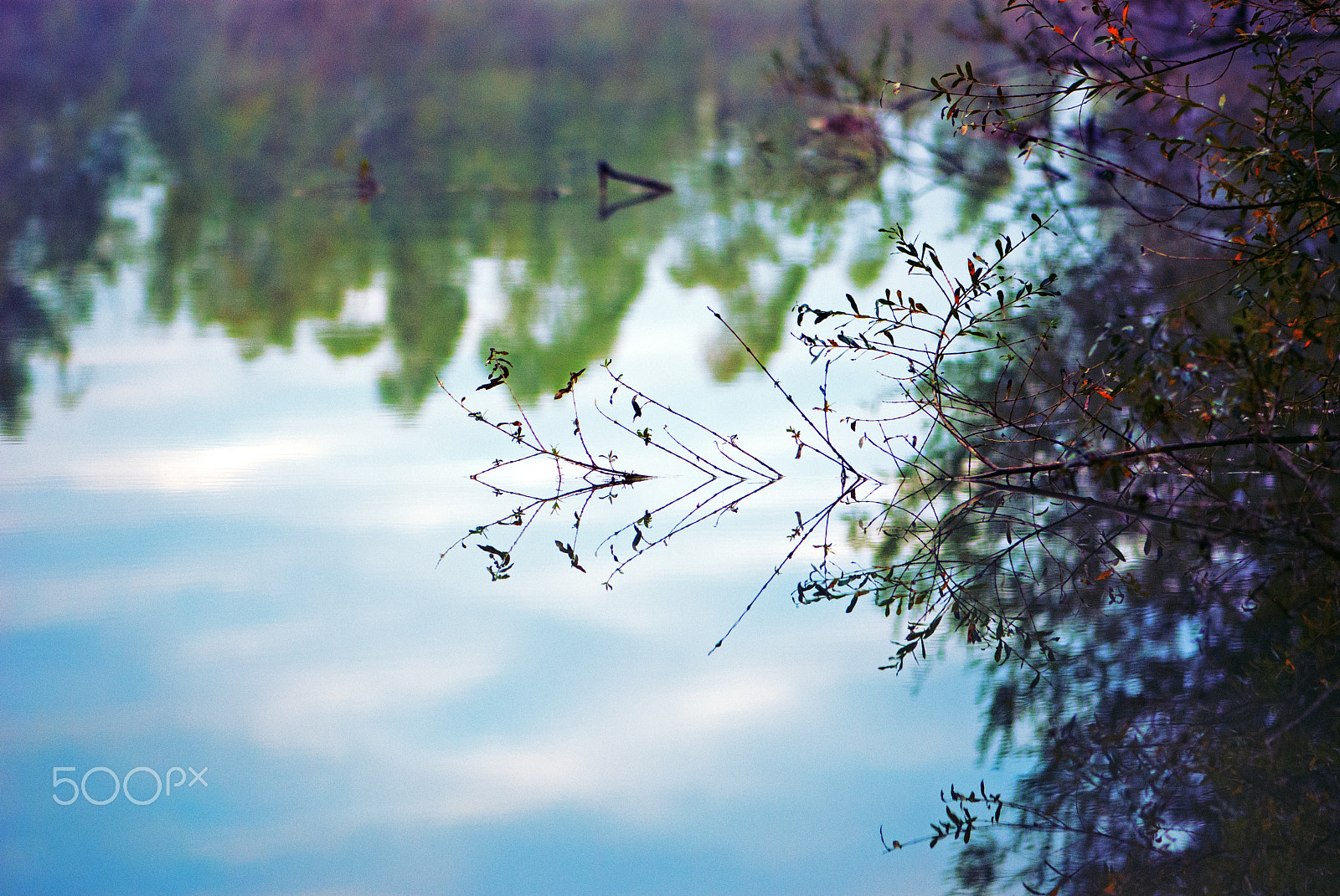 Nikon AF-S Micro-Nikkor 105mm F2.8G IF-ED VR sample photo. Magie matinale ii photography