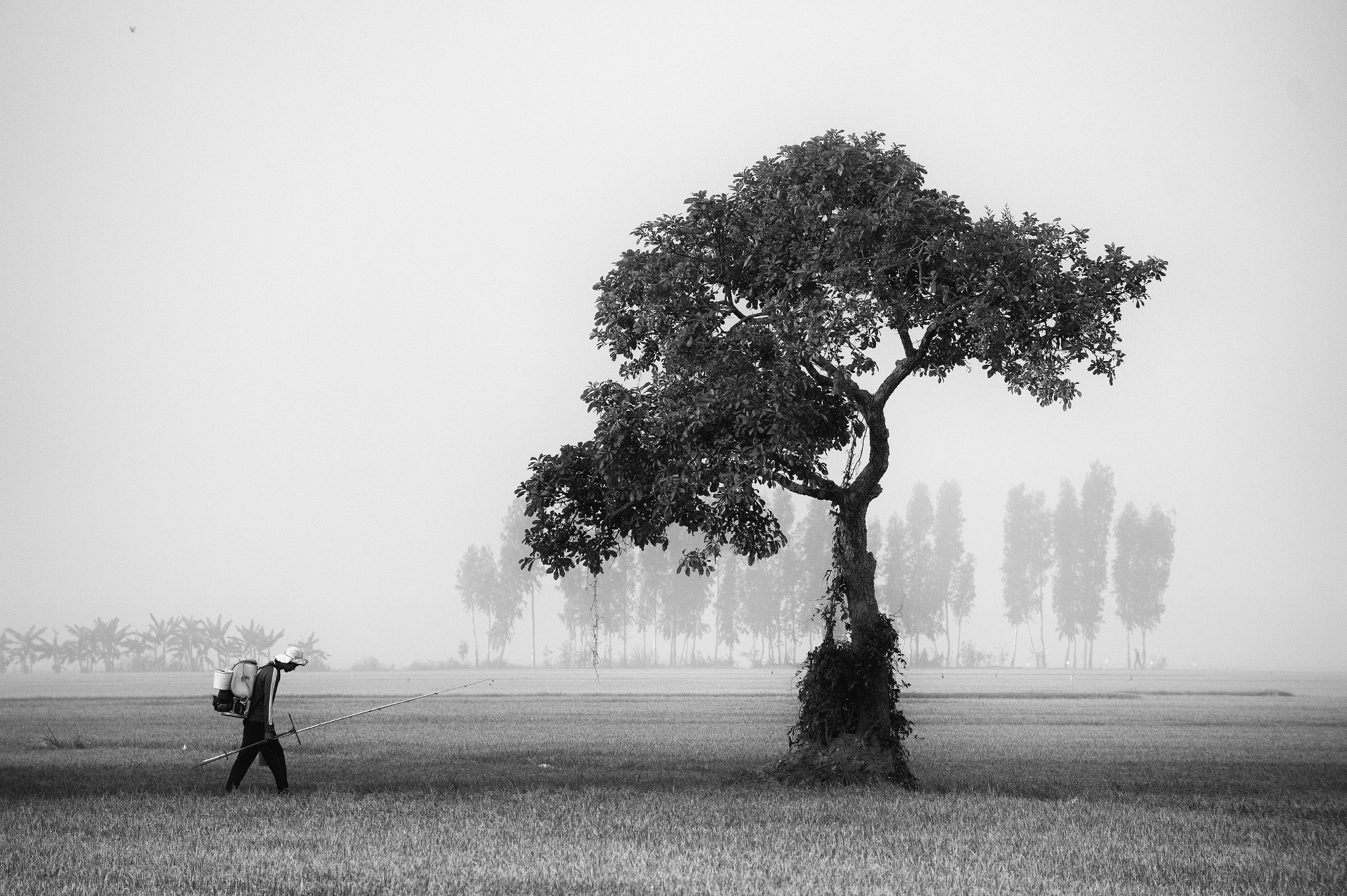 Sony Alpha a3000 sample photo. Farmer and tree photography
