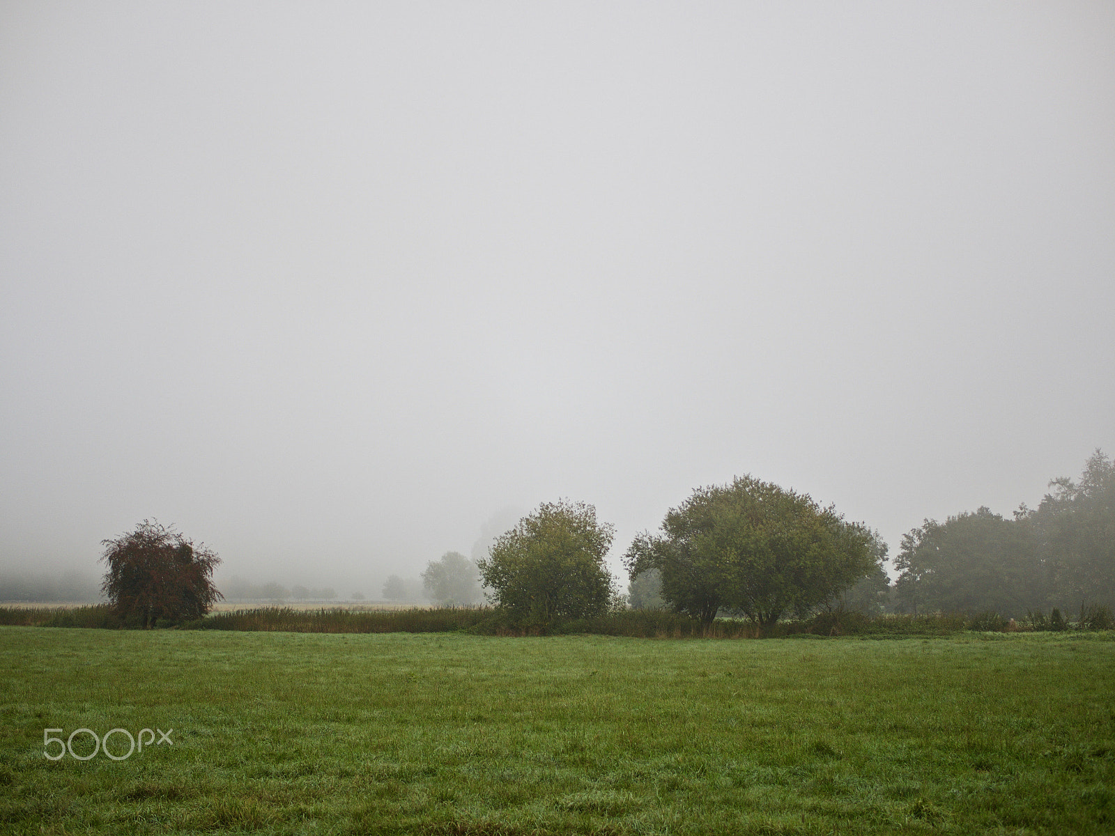 Olympus OM-D E-M10 sample photo. Fahrad tour im nebel photography