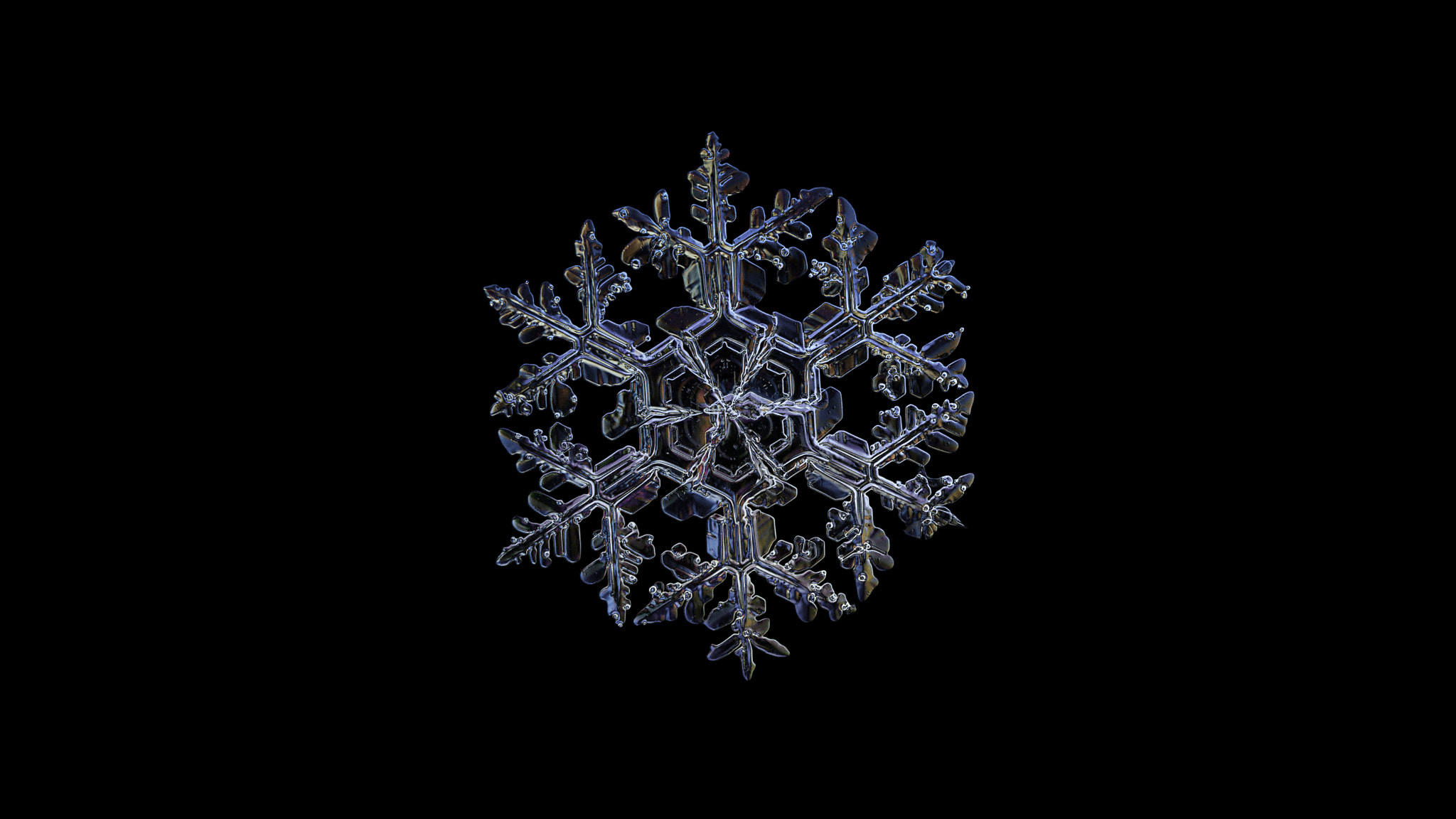 Canon POWERSHOT A650 IS sample photo. Snowflake isolated on black background photography