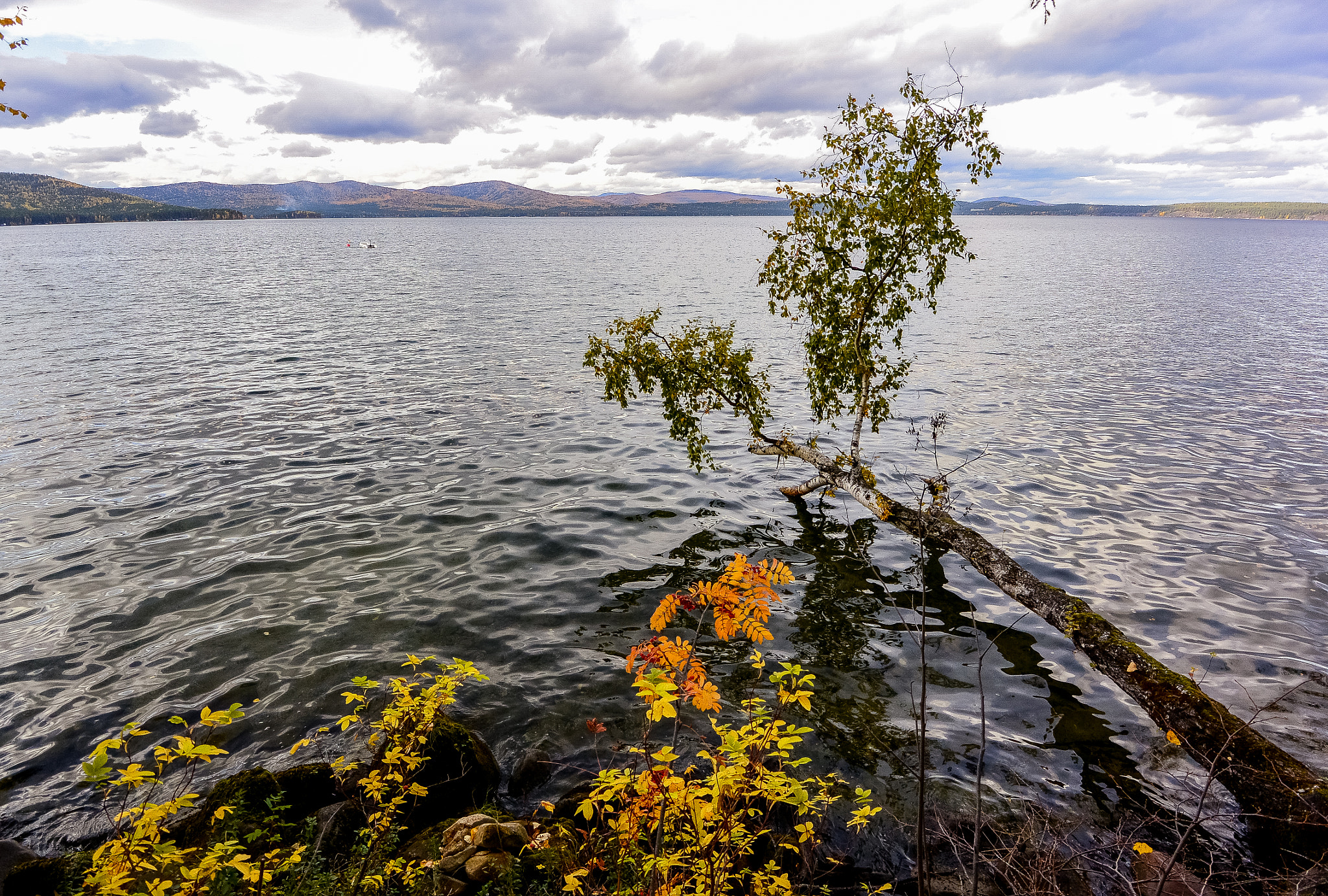 Nikon 1 J3 sample photo. Turgoyak lake photography
