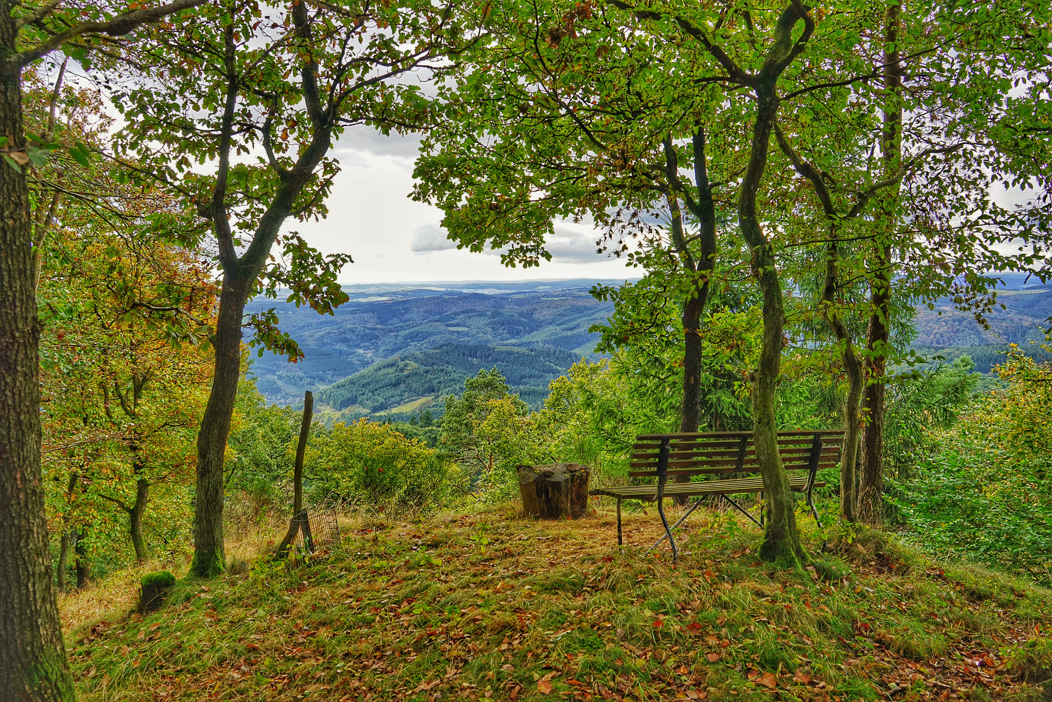Sony a7R + Sony Vario Tessar T* FE 24-70mm F4 ZA OSS sample photo. Auf der hohen warte photography