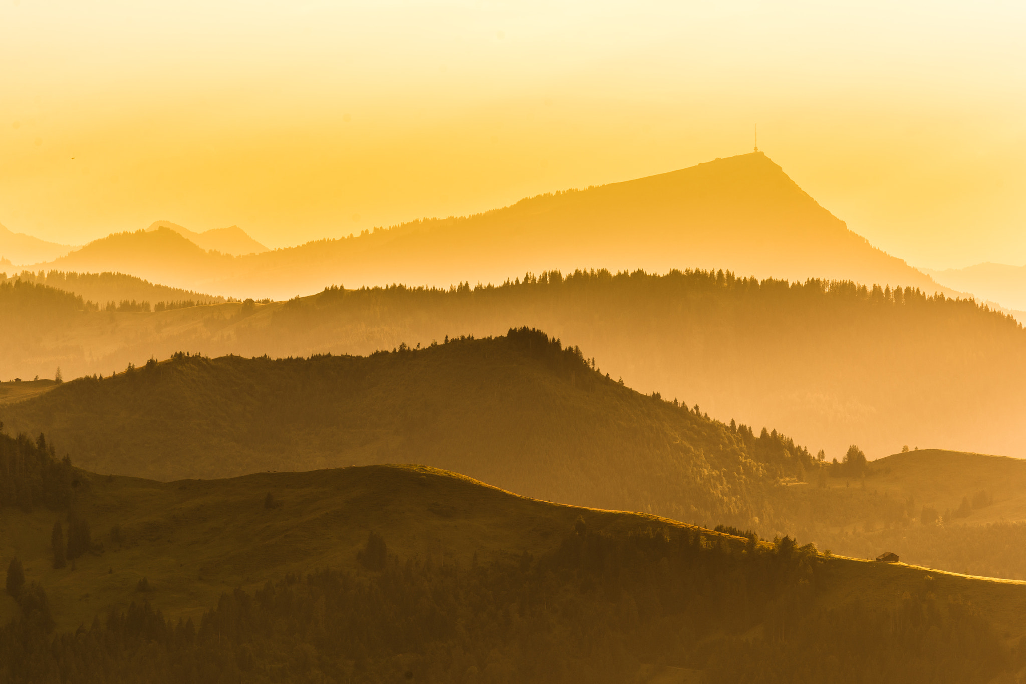 Nikon D600 sample photo. Rigi photography