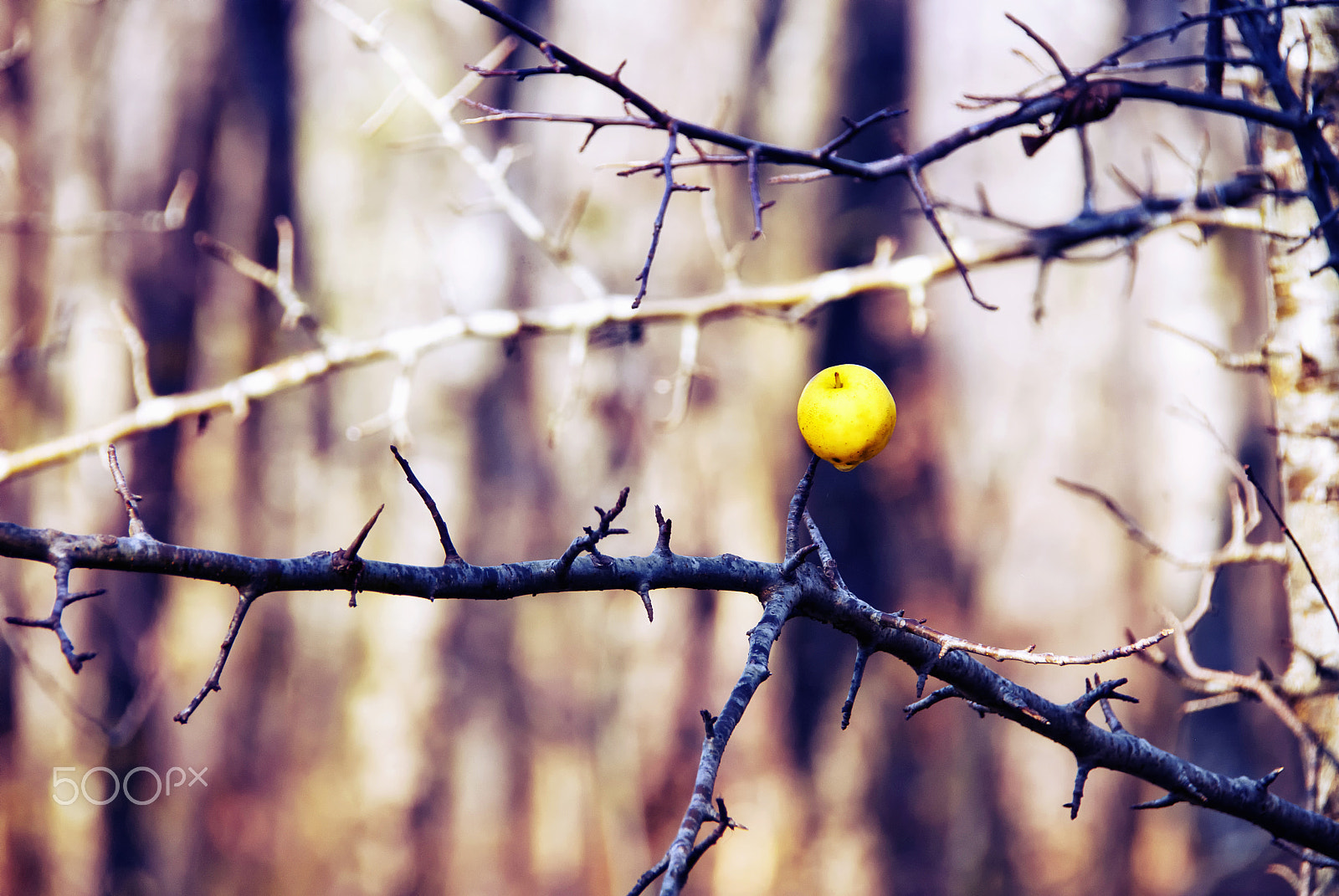 Nikon D80 sample photo. Eve a la fringale photography