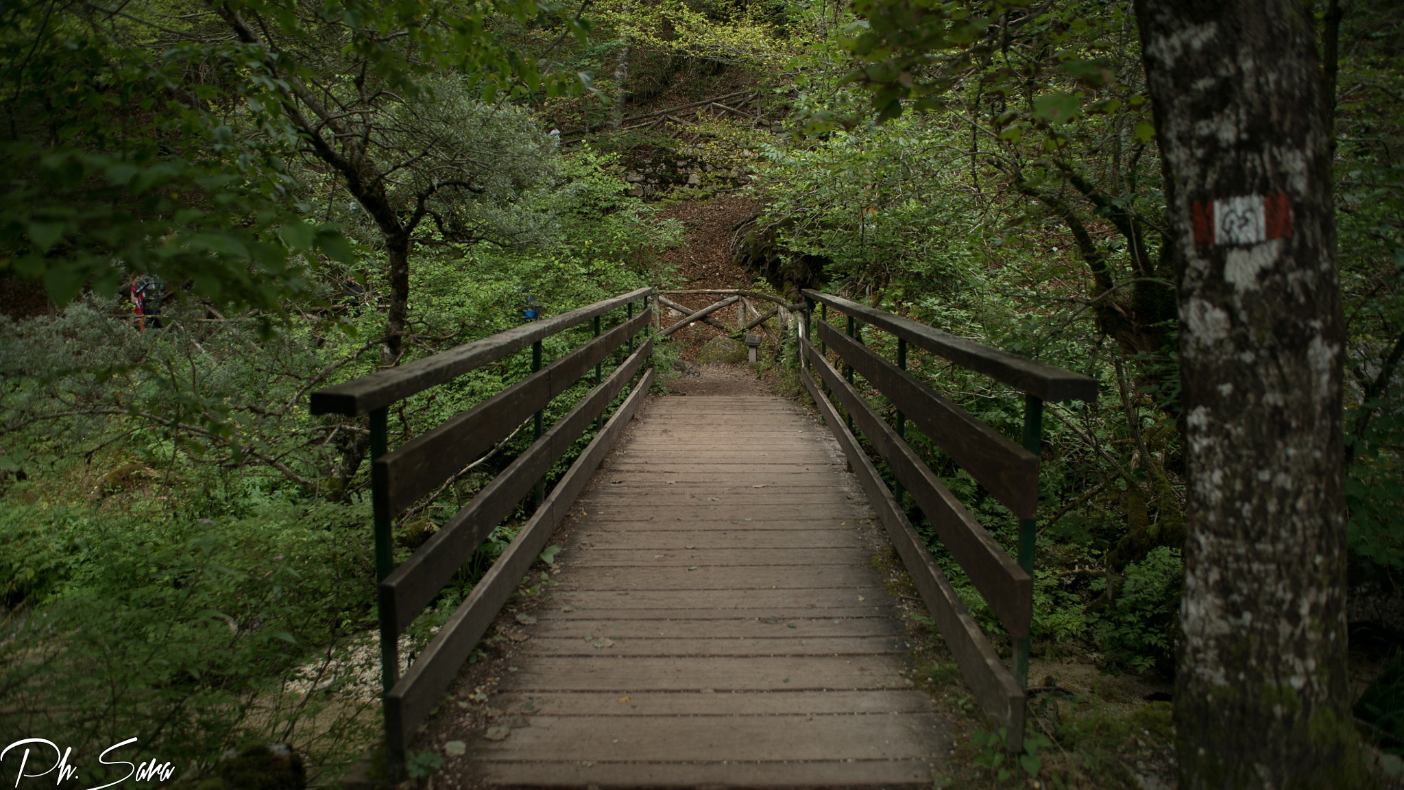 Minolta AF 28-80mm F3.5-5.6 II sample photo. Sentieri photography
