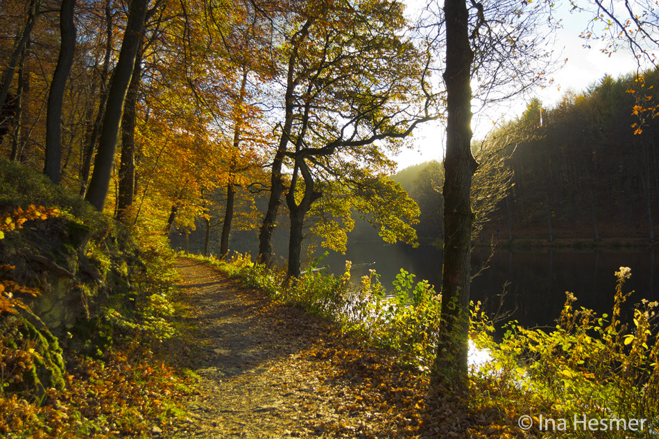 Canon EOS 550D (EOS Rebel T2i / EOS Kiss X4) + Tamron AF 19-35mm f/3.5-4.5 sample photo. Autumn on the lake photography