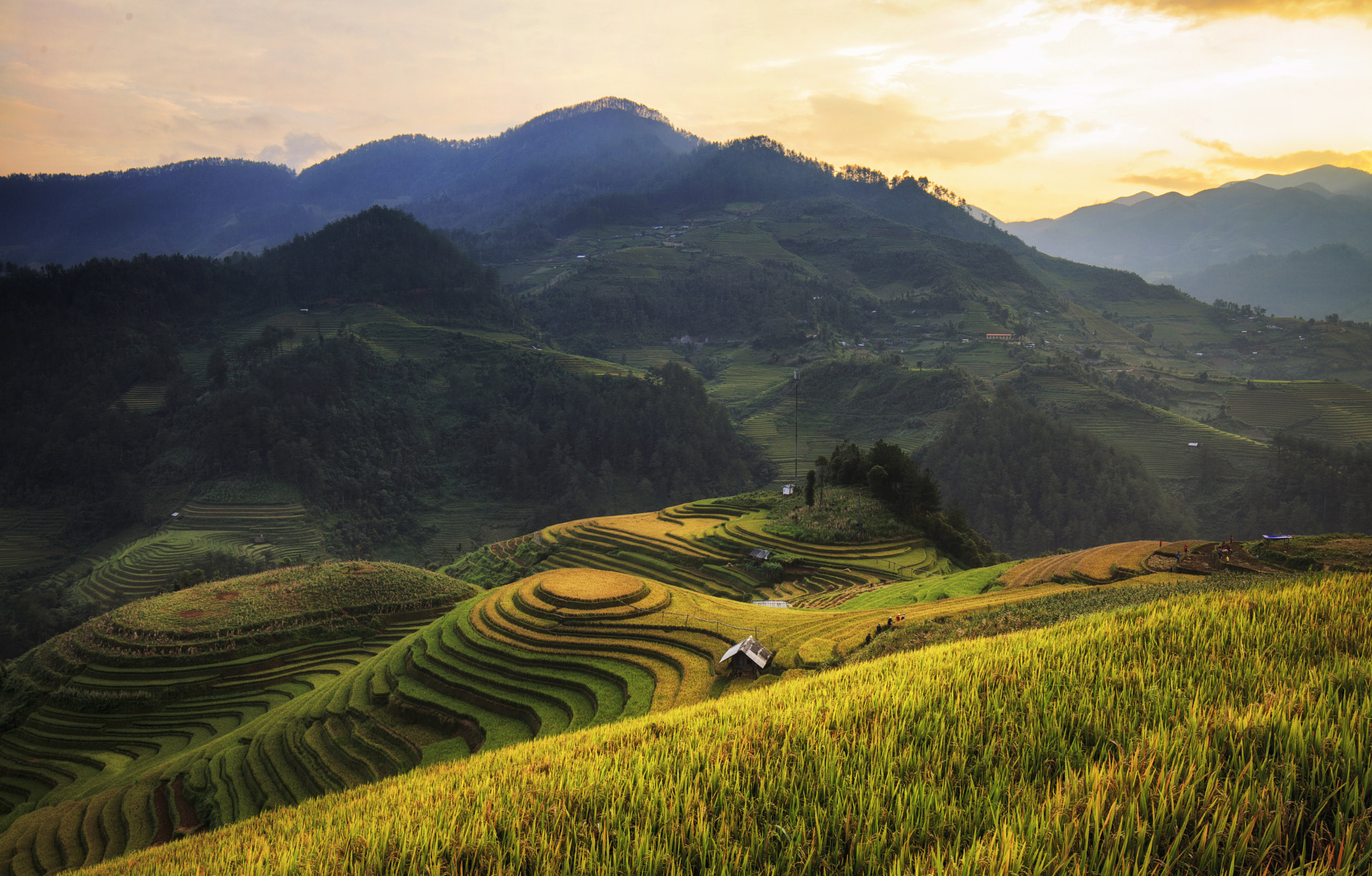 Canon EOS 5D Mark II + Canon EF 16-35mm F4L IS USM sample photo. Rice terrace in northen vietnam photography