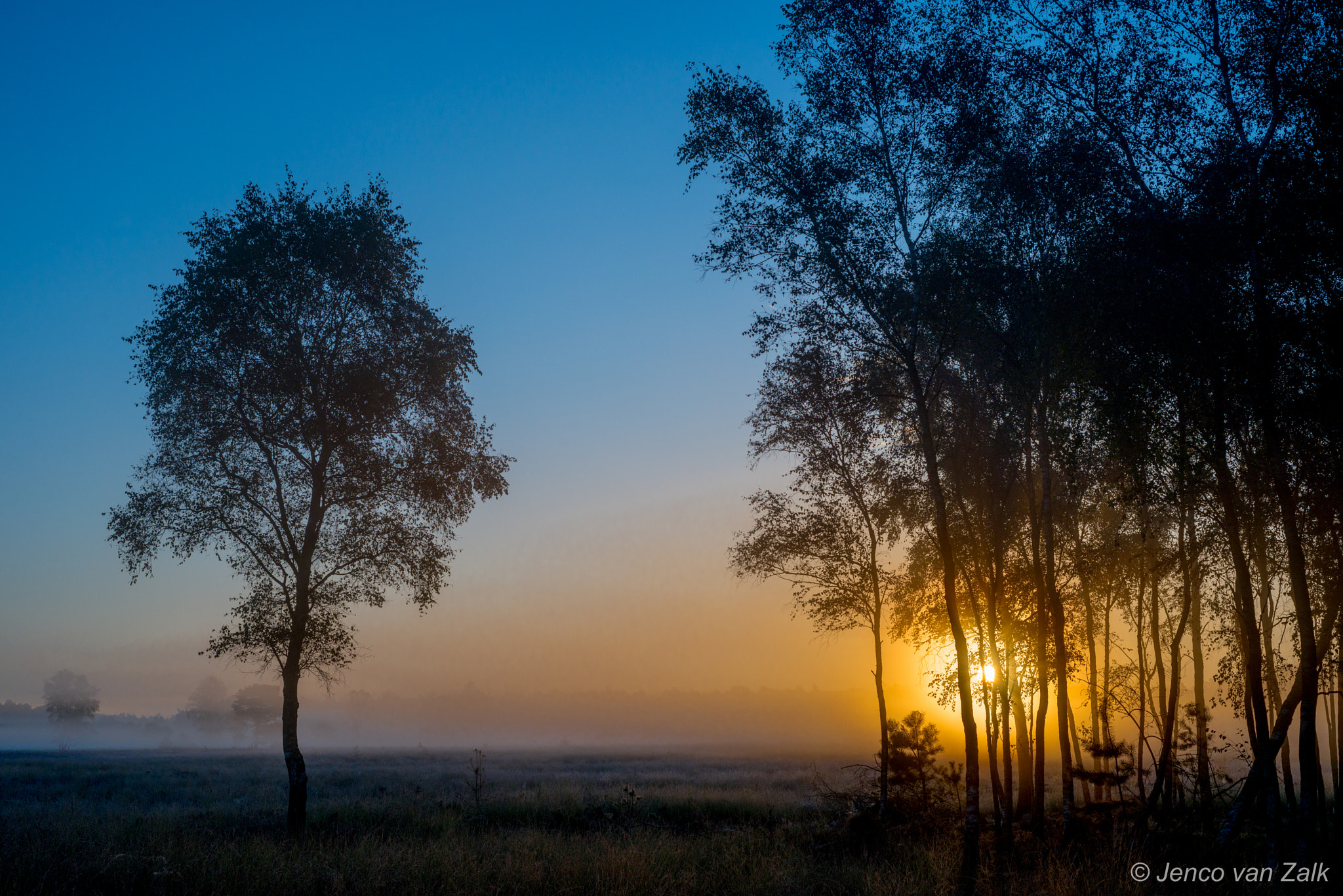 Nikon D800E sample photo. Sunrise 'noorderheide' photography