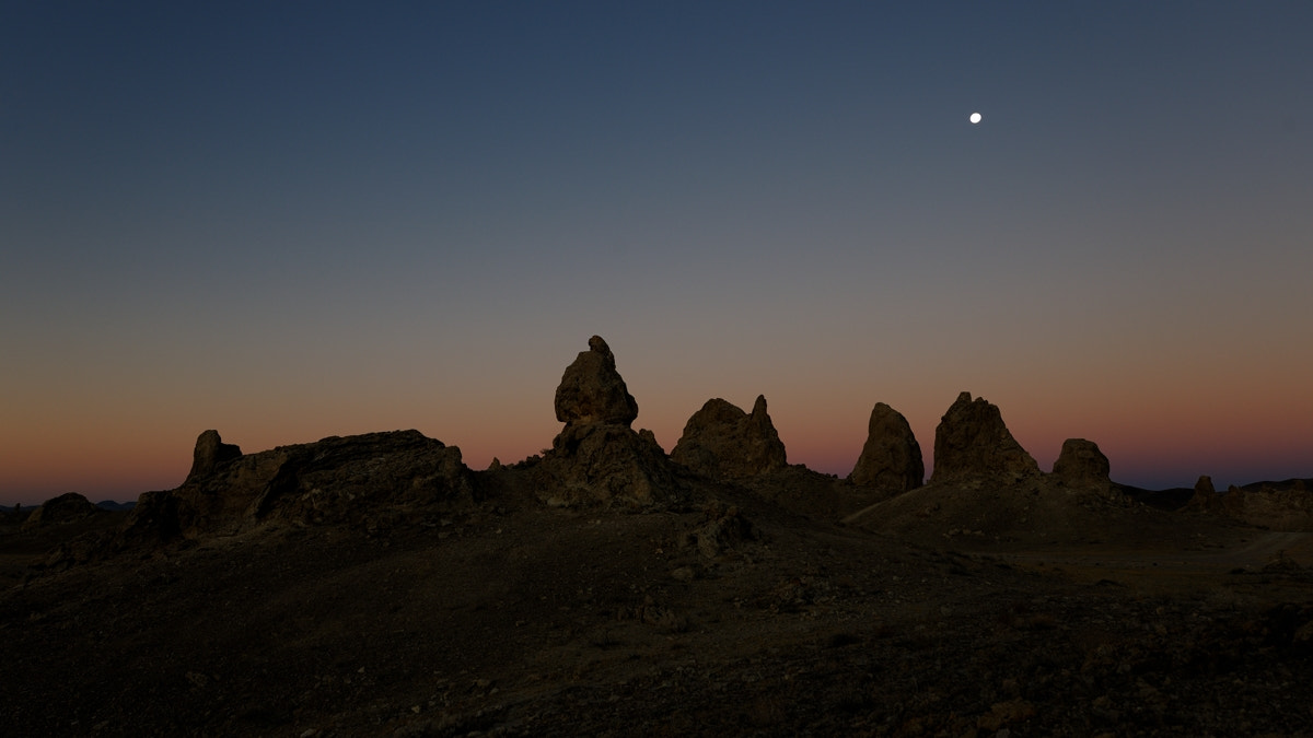Nikon D3X sample photo. Honoring the moon photography