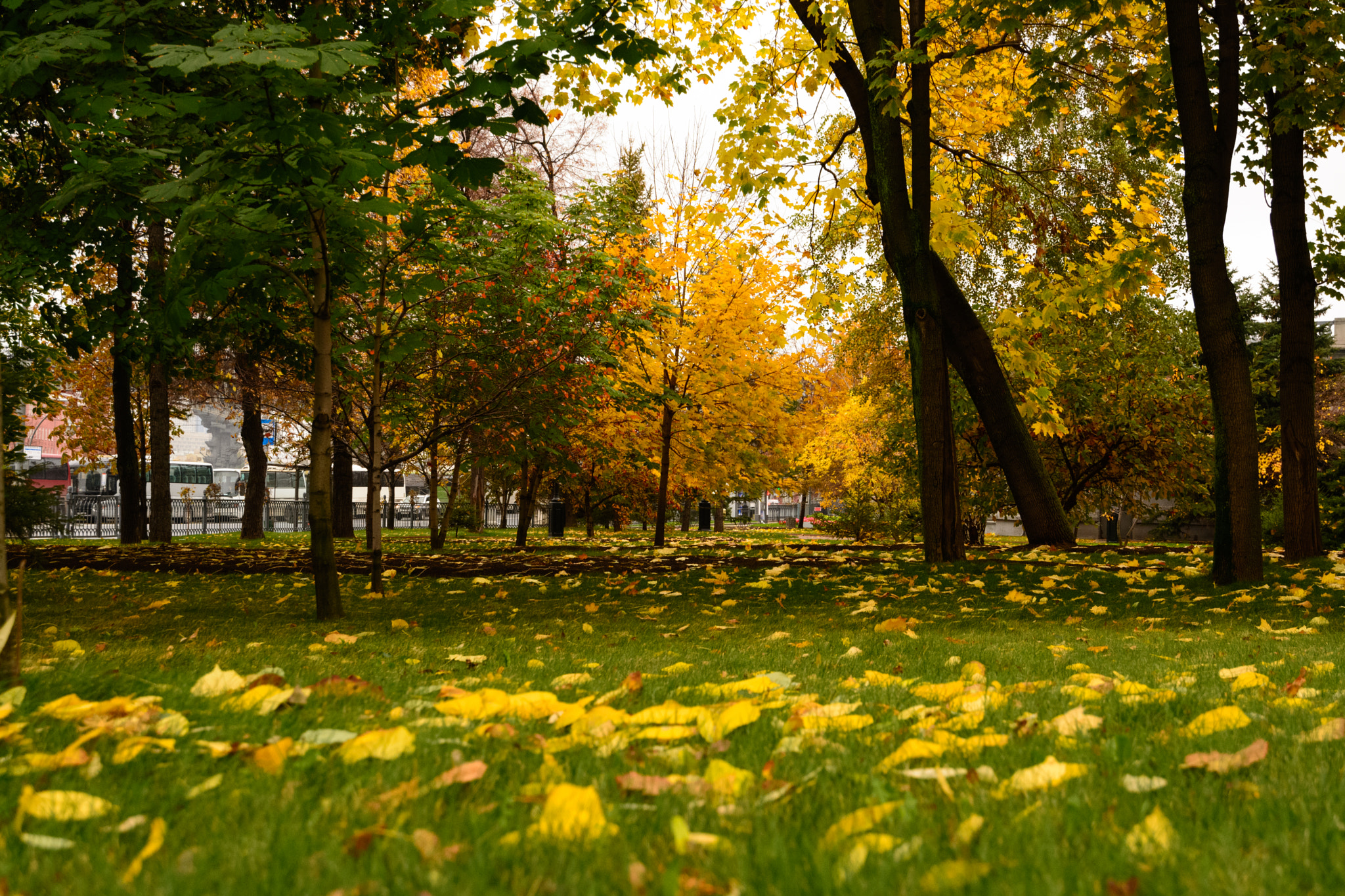 Nikon D5200 sample photo. Autumn park photography
