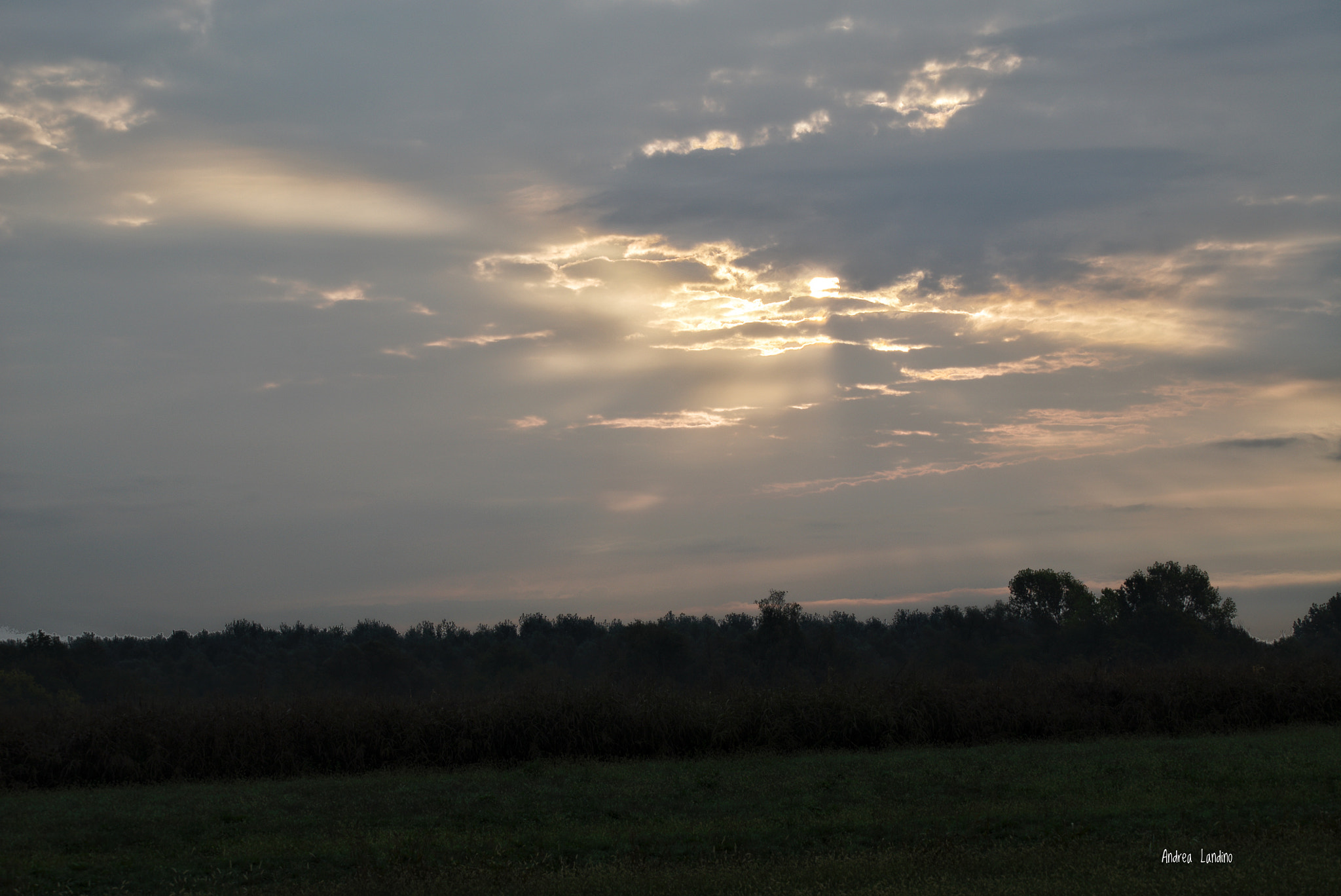 Sony a7S + Sony FE 70-200mm F4 G OSS sample photo