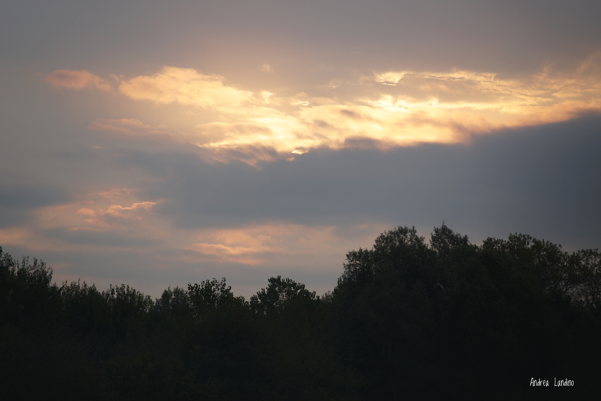 Sony a7S + Sony FE 70-200mm F4 G OSS sample photo