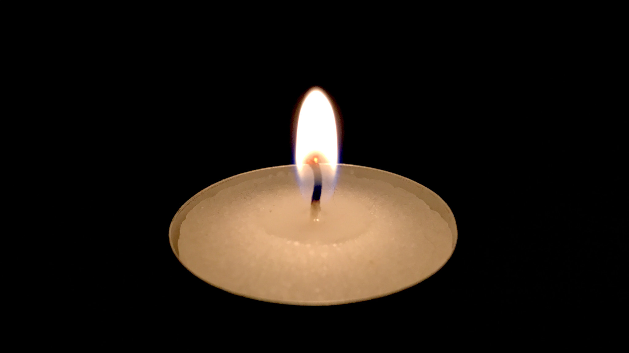 Apple iPhone9,4 sample photo. Solitary flame photography