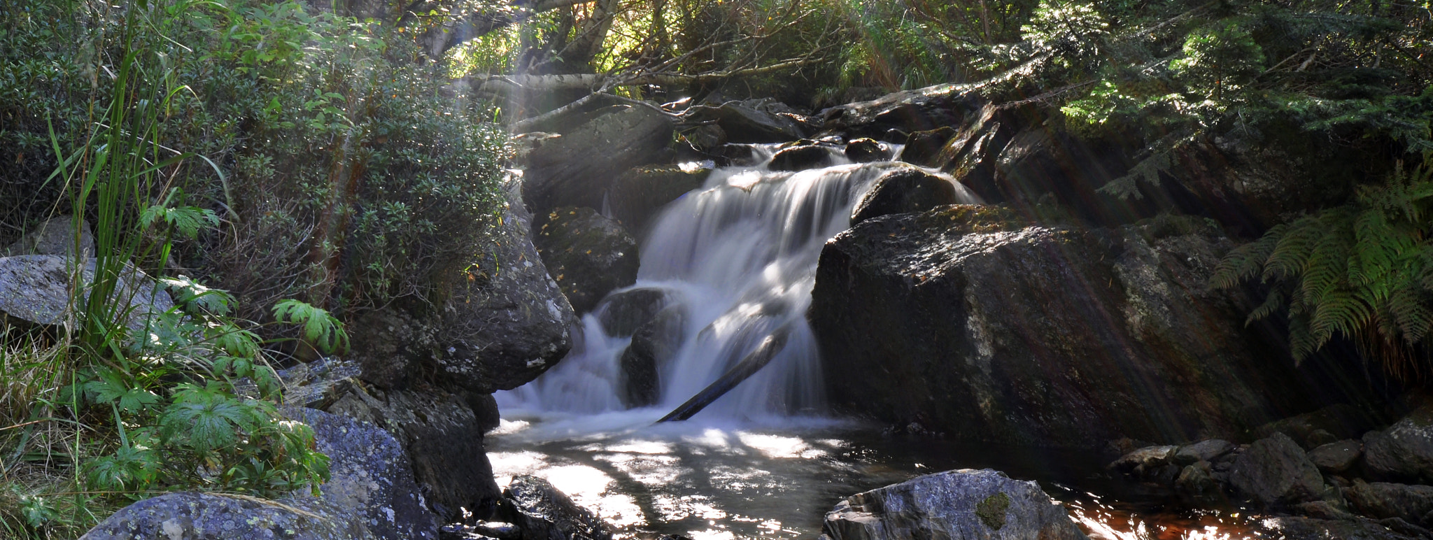 Nikon D5000 sample photo. Water photography