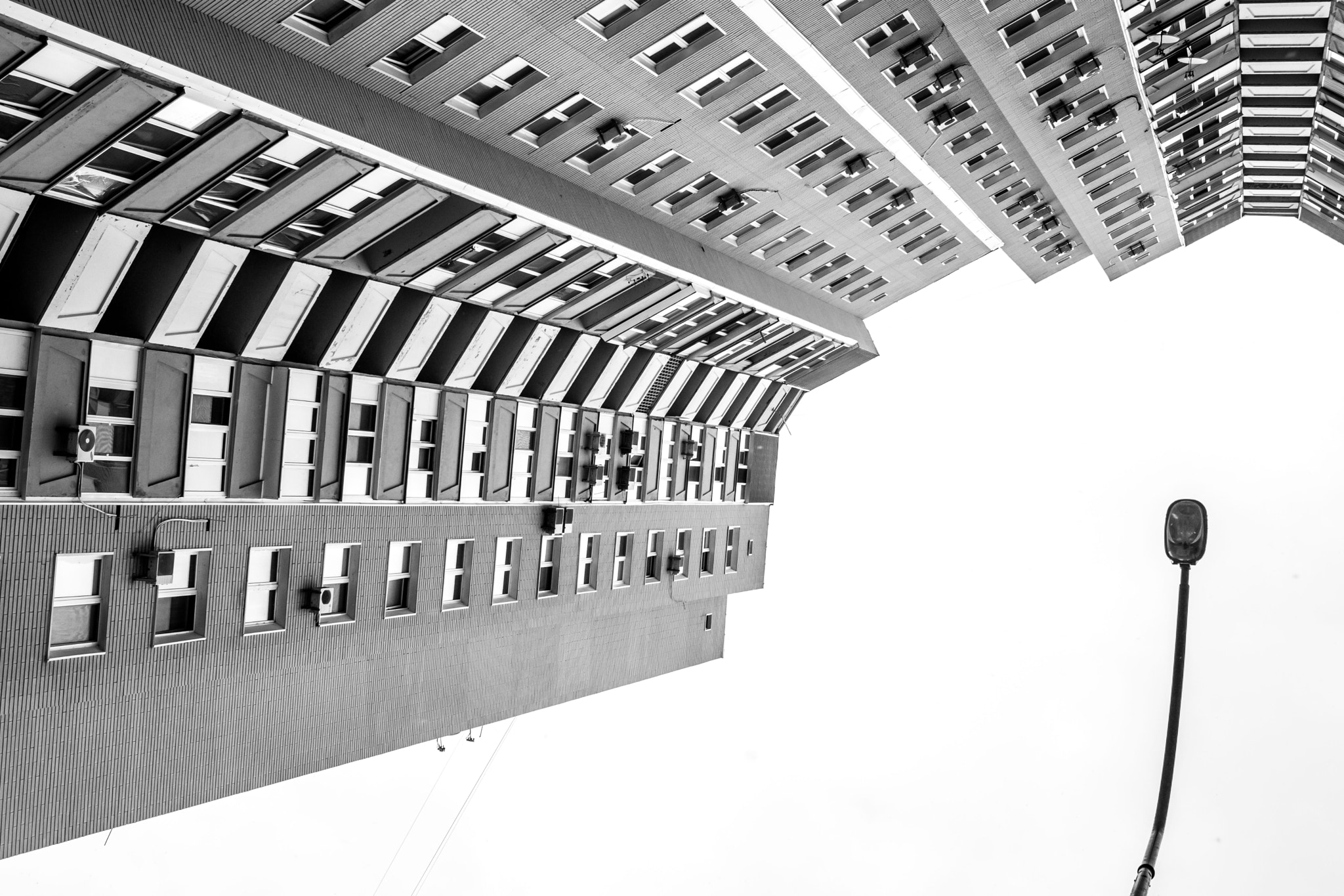 Canon EF-S 24mm F2.8 STM sample photo. .city flower photography