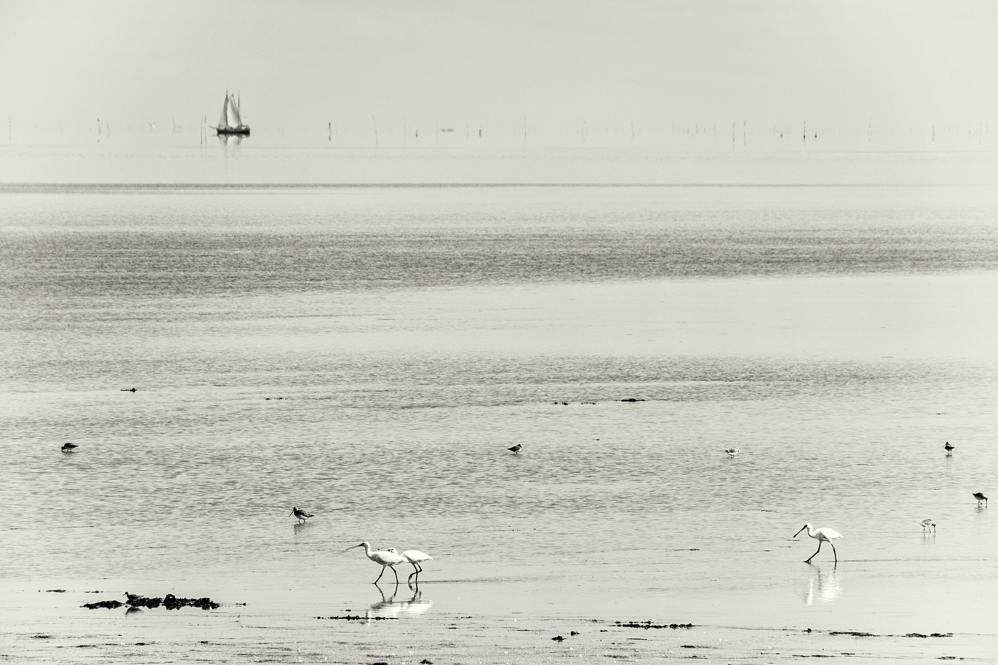 Fujifilm X-T1 + Fujifilm XC 50-230mm F4.5-6.7 OIS sample photo. Seascape photography