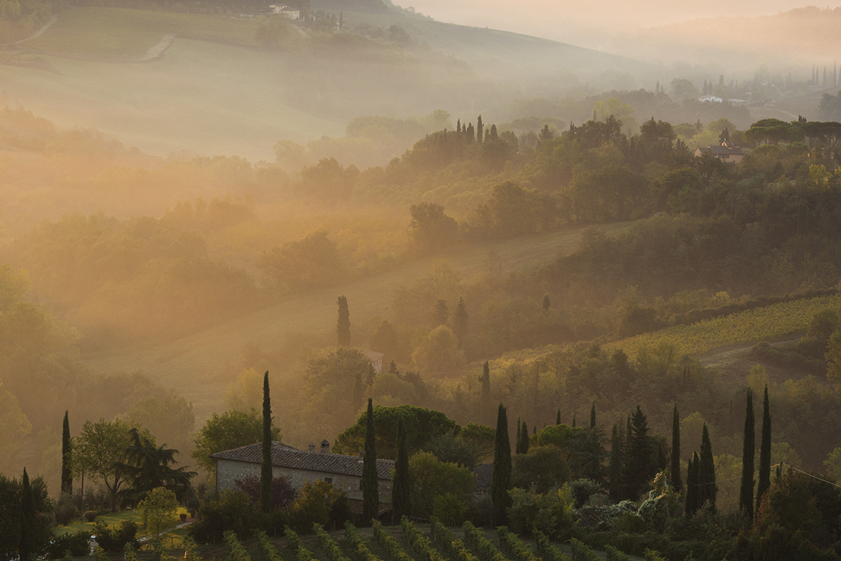 Sony SLT-A77 + Sigma 70-300mm F4-5.6 DL Macro sample photo. Tuscany photography