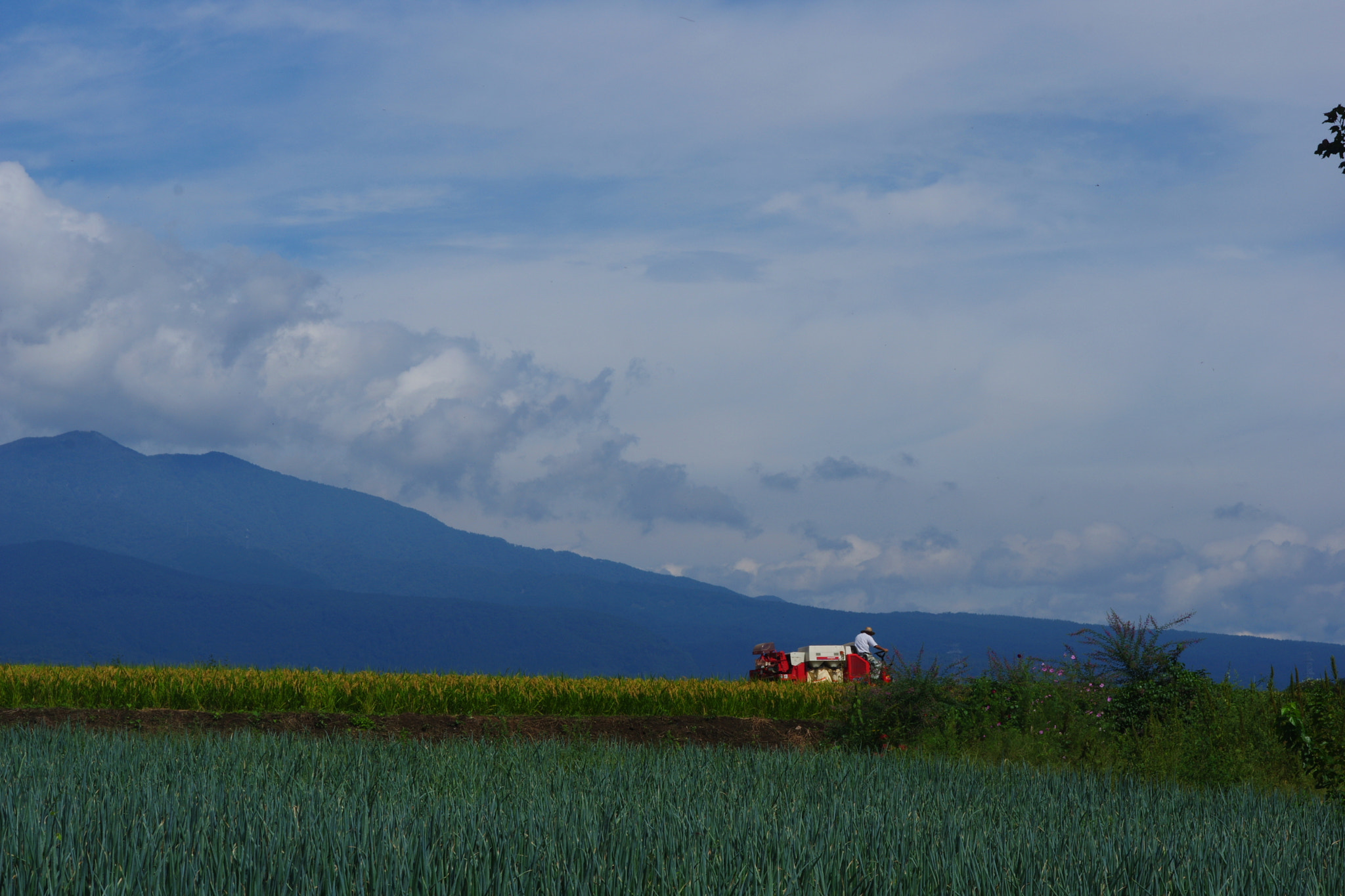 Pentax K-3 sample photo. Harvest photography