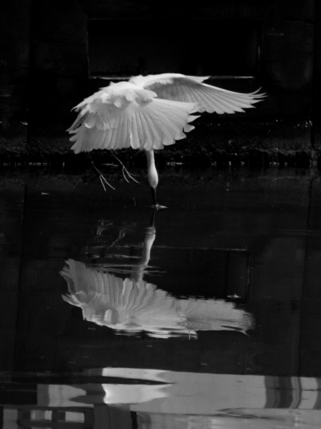 XF100-400mmF4.5-5.6 R LM OIS WR + 1.4x sample photo