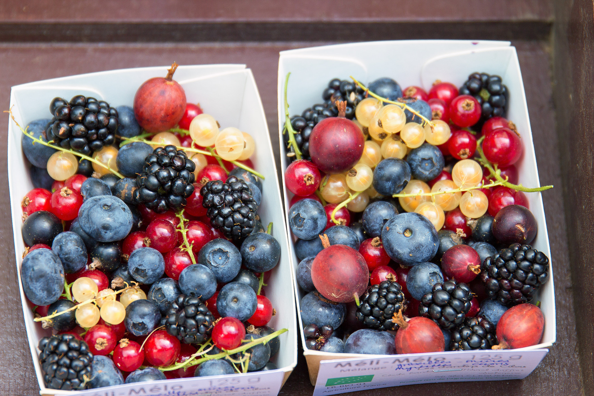 Sigma 24-105mm f/4 DG OS HSM | A sample photo. Forest fruits photography