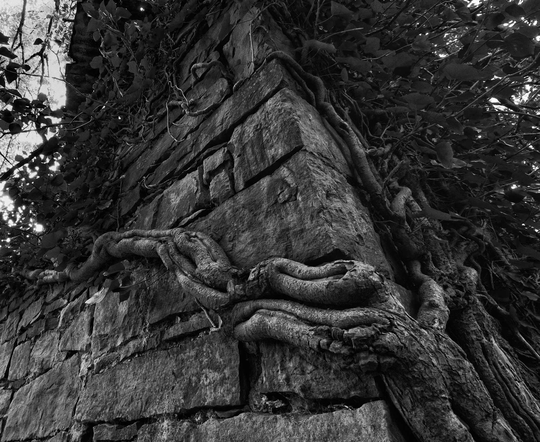 Pentax K-5 sample photo. Wall climber photography