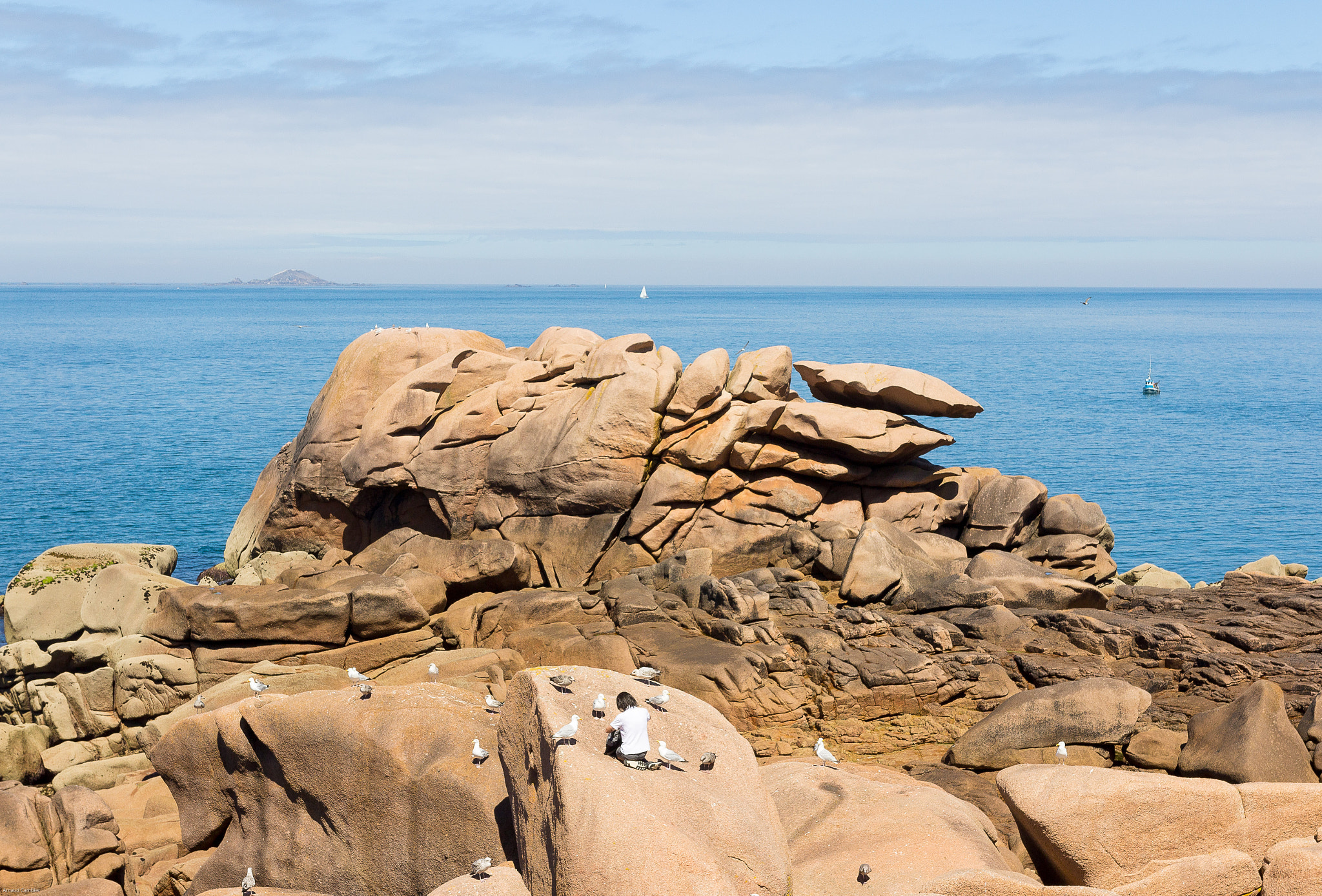 Sigma 18-35mm f/1.8 DC HSM sample photo. Seagull boy photography